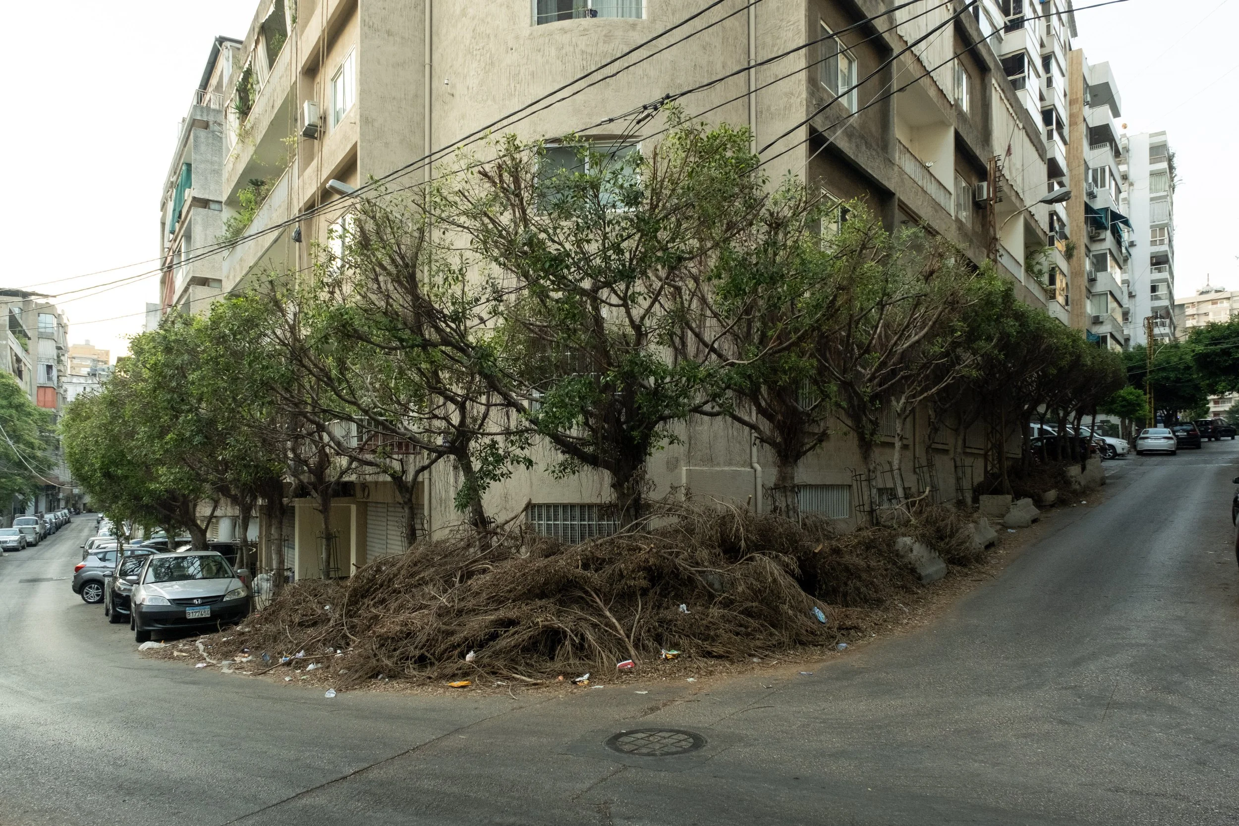 DSCF1871.jpg
