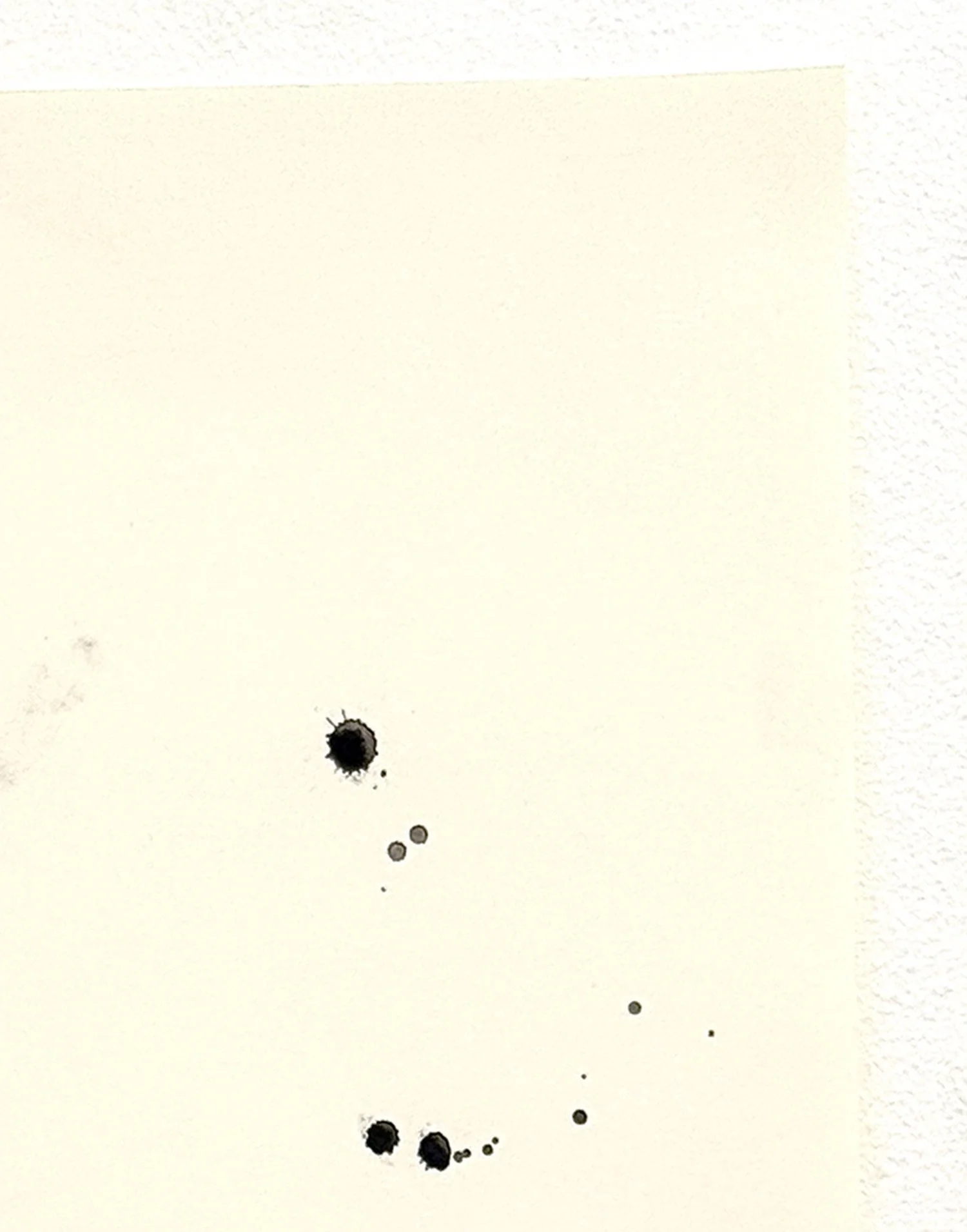 D75-b-web--2026.jpg