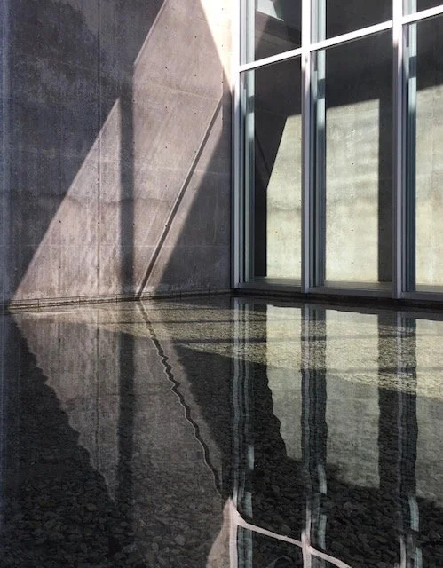 Modern Art Museum, 2018