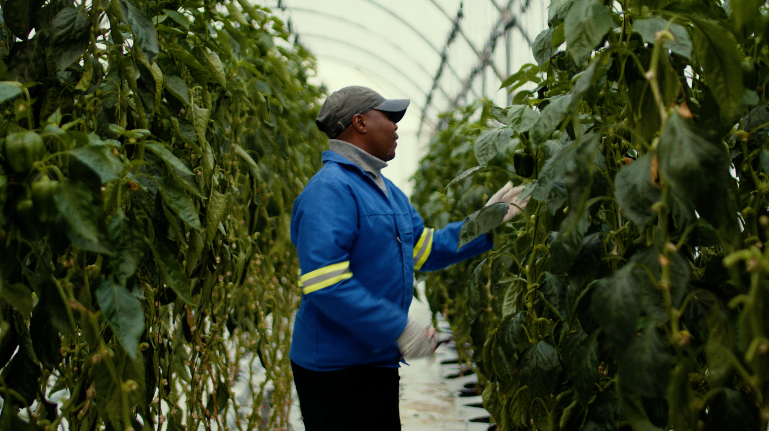 Living Hope | Agricultural Training