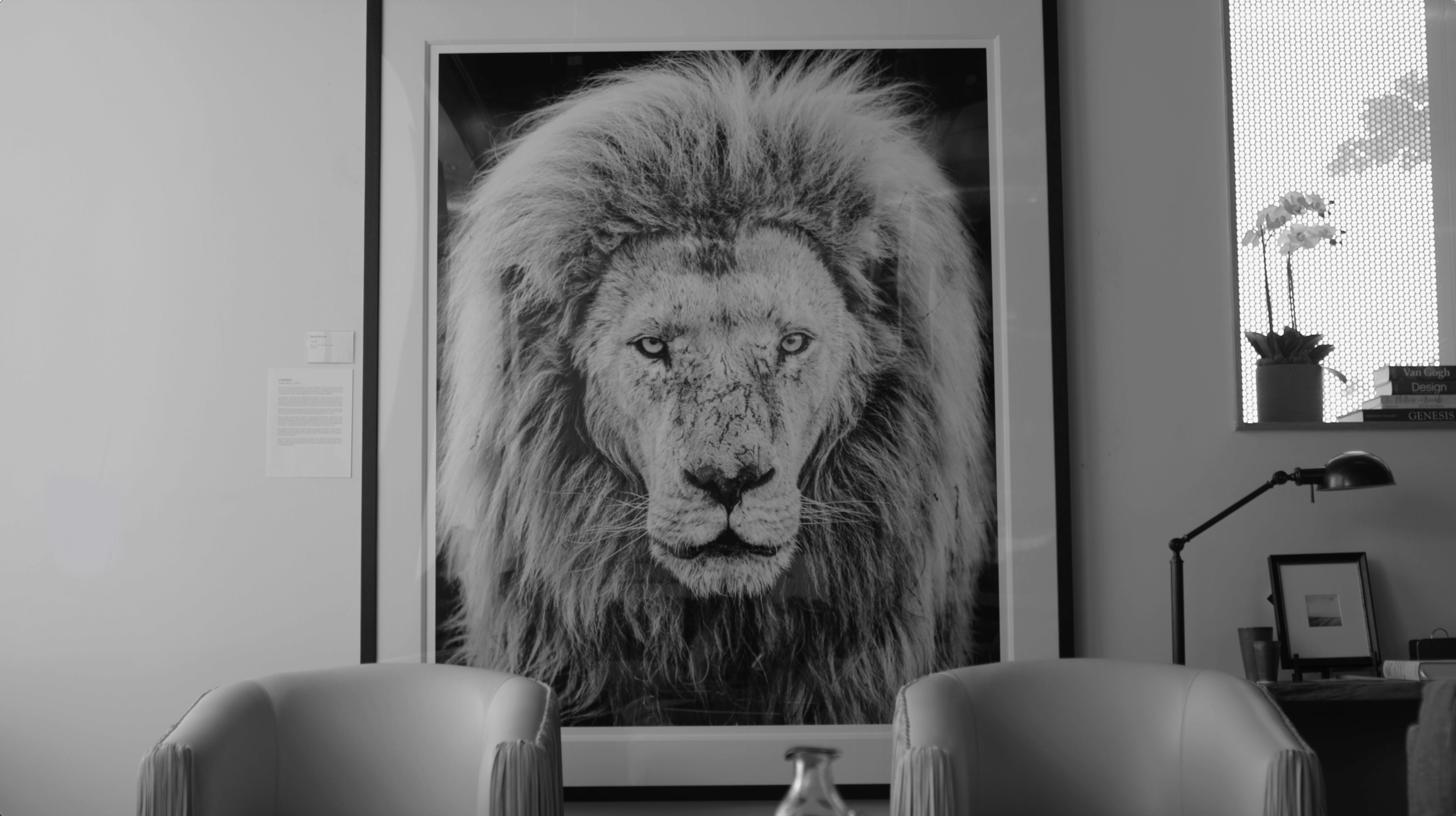 Christopher Collection | David Yarrow