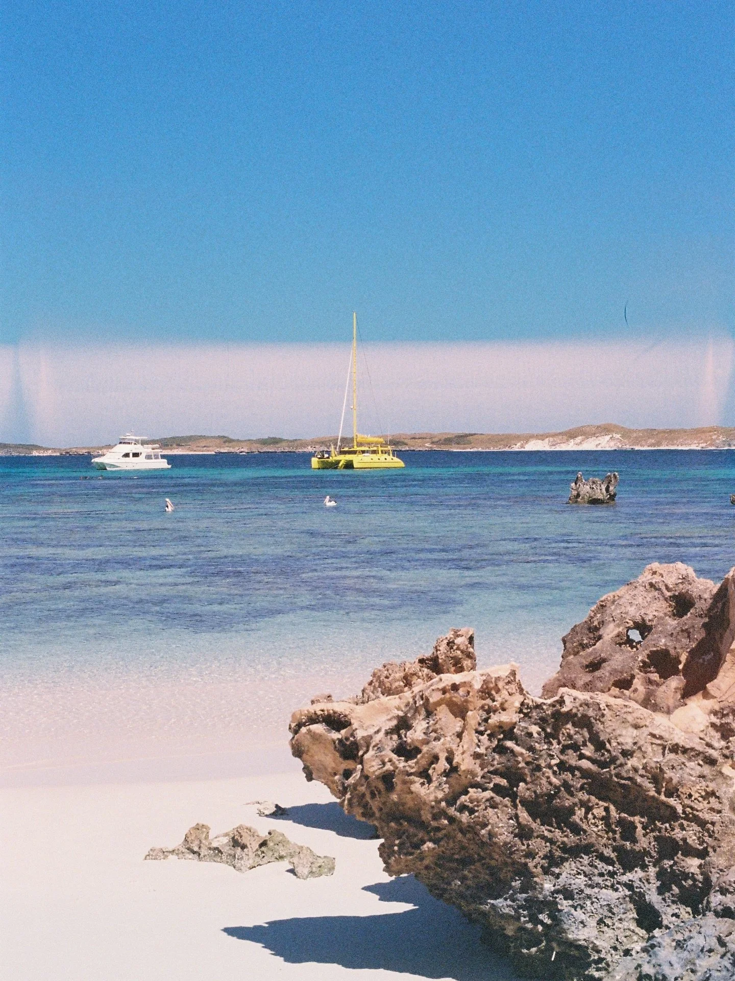 Rottnest island film / 2022