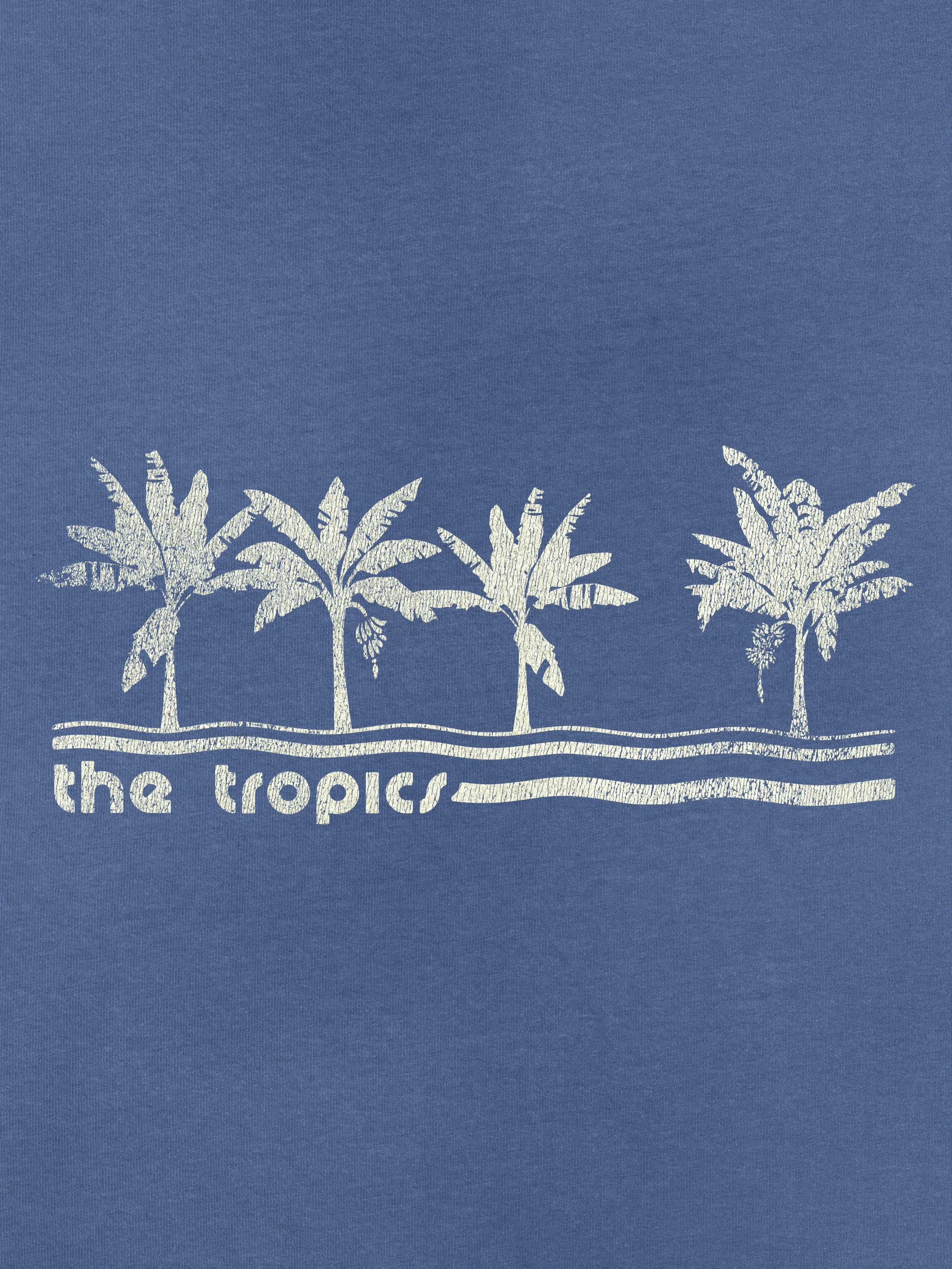 The Tropics - an unused graphic from a recent project.