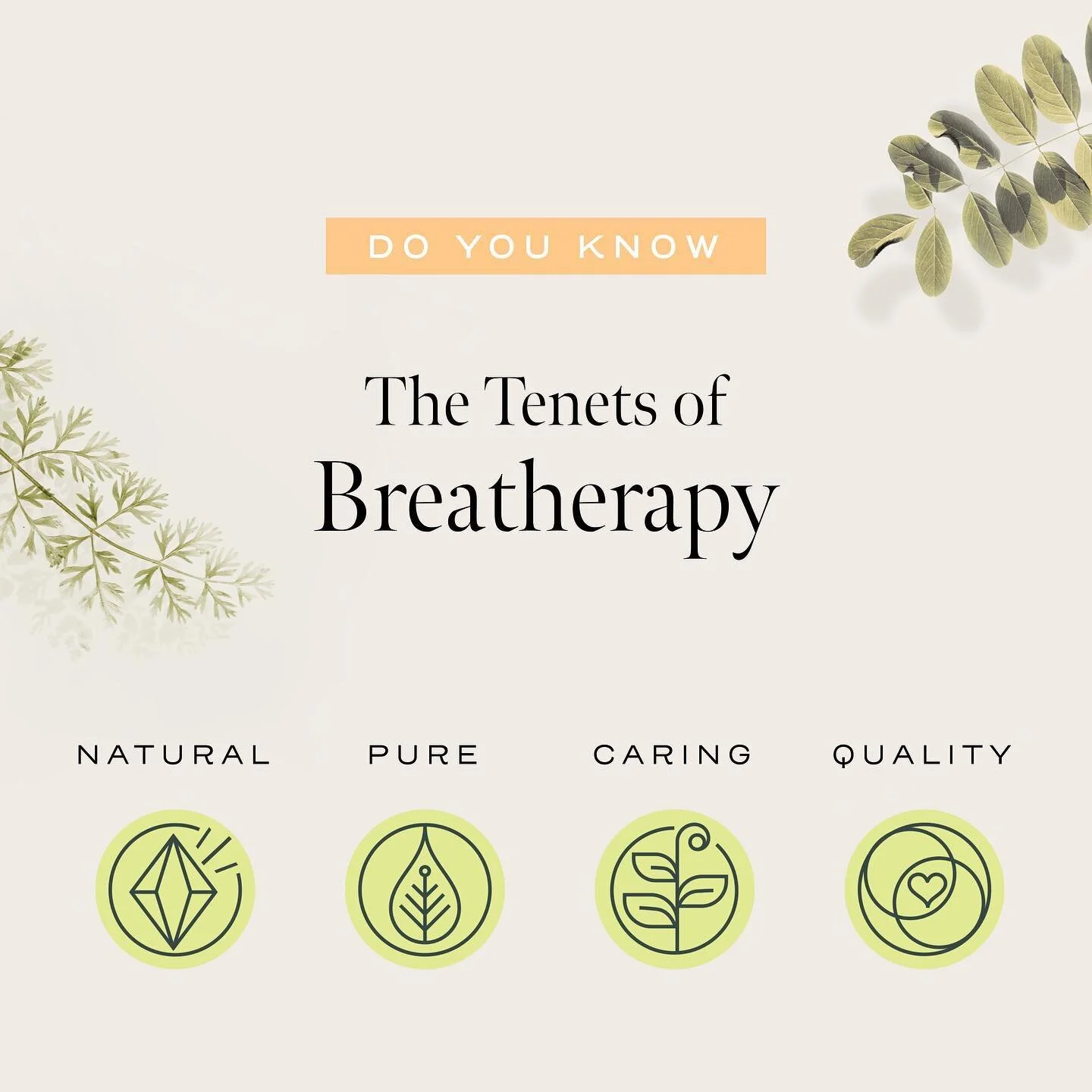 Aromatherapy, a definition: Holistic healing treatment that uses natural plant extracts to promote health and well-being🪴