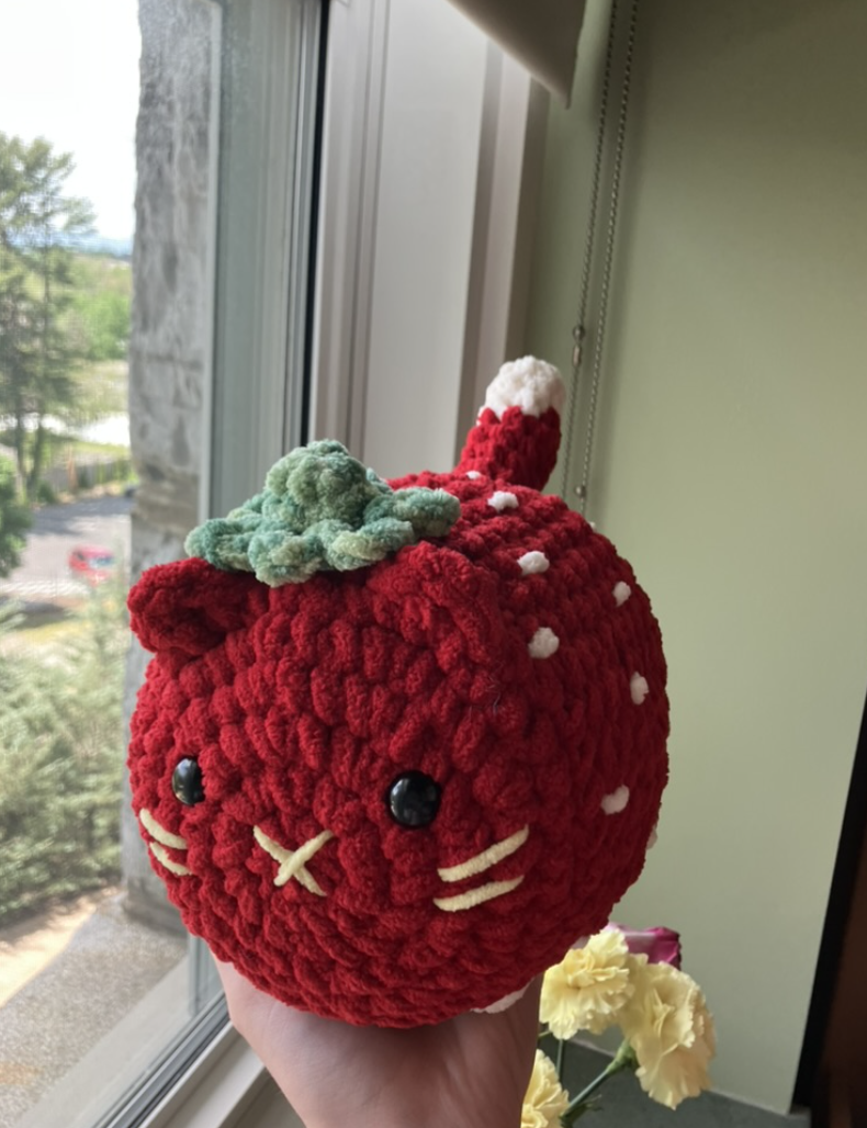 Strawberry Cat