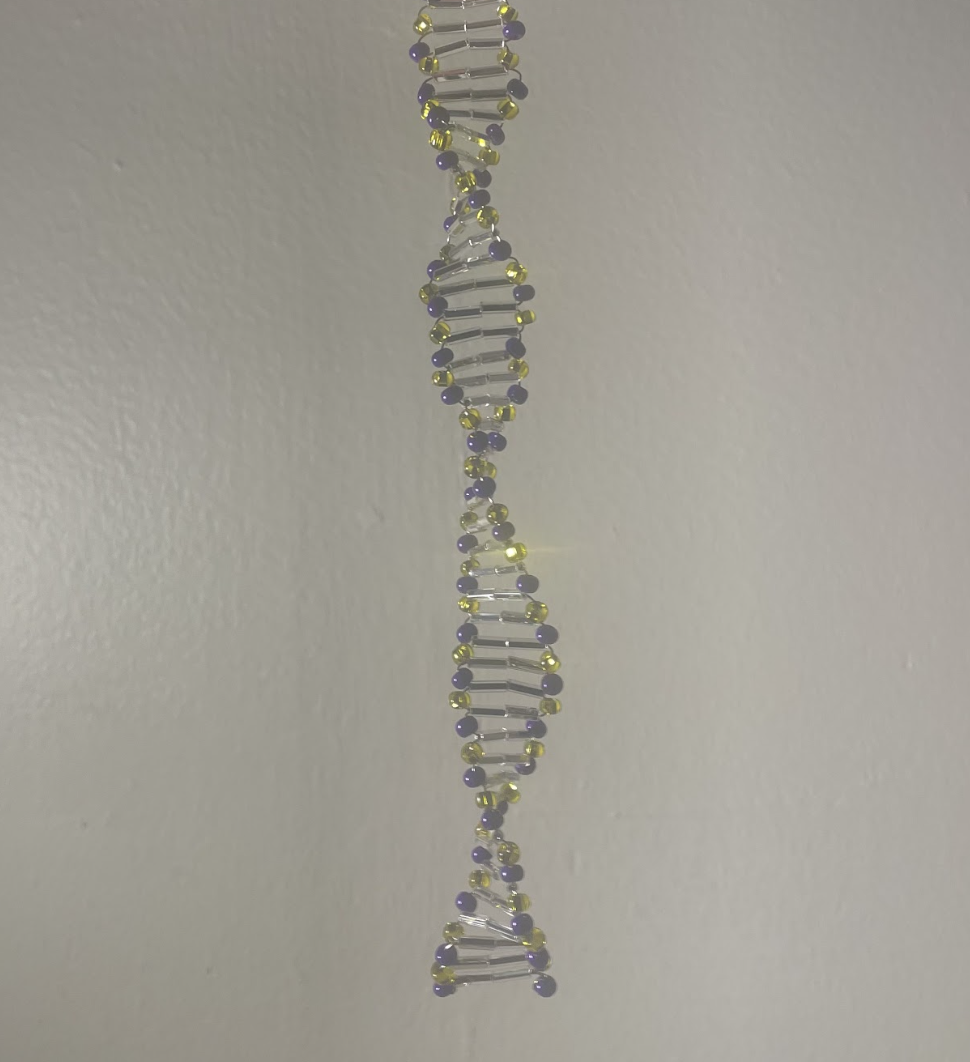 DNA graduation tassle