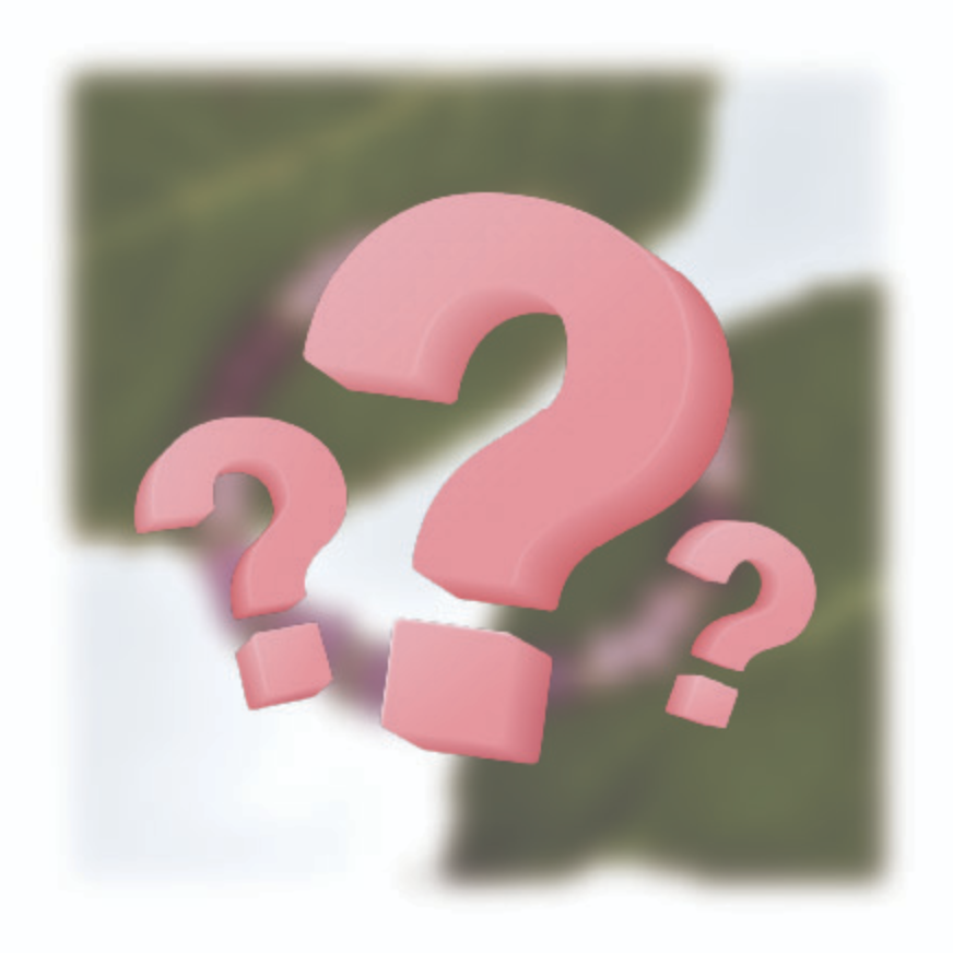 Mystery Bracelet