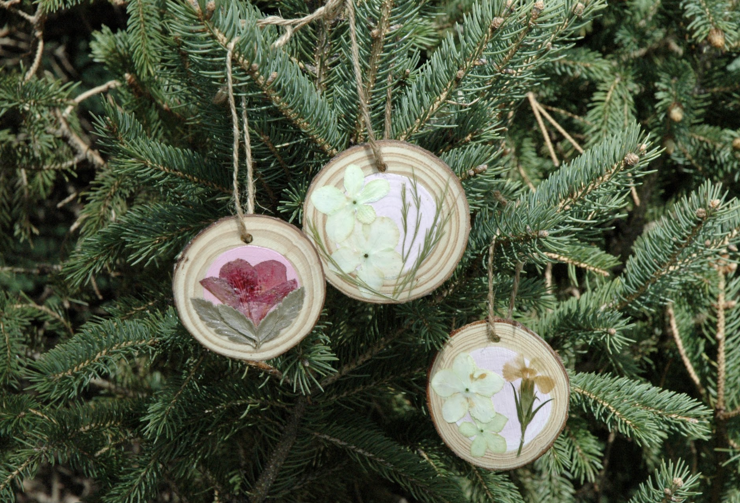 Screenshot 2026-04-14 at 21.20.39.png