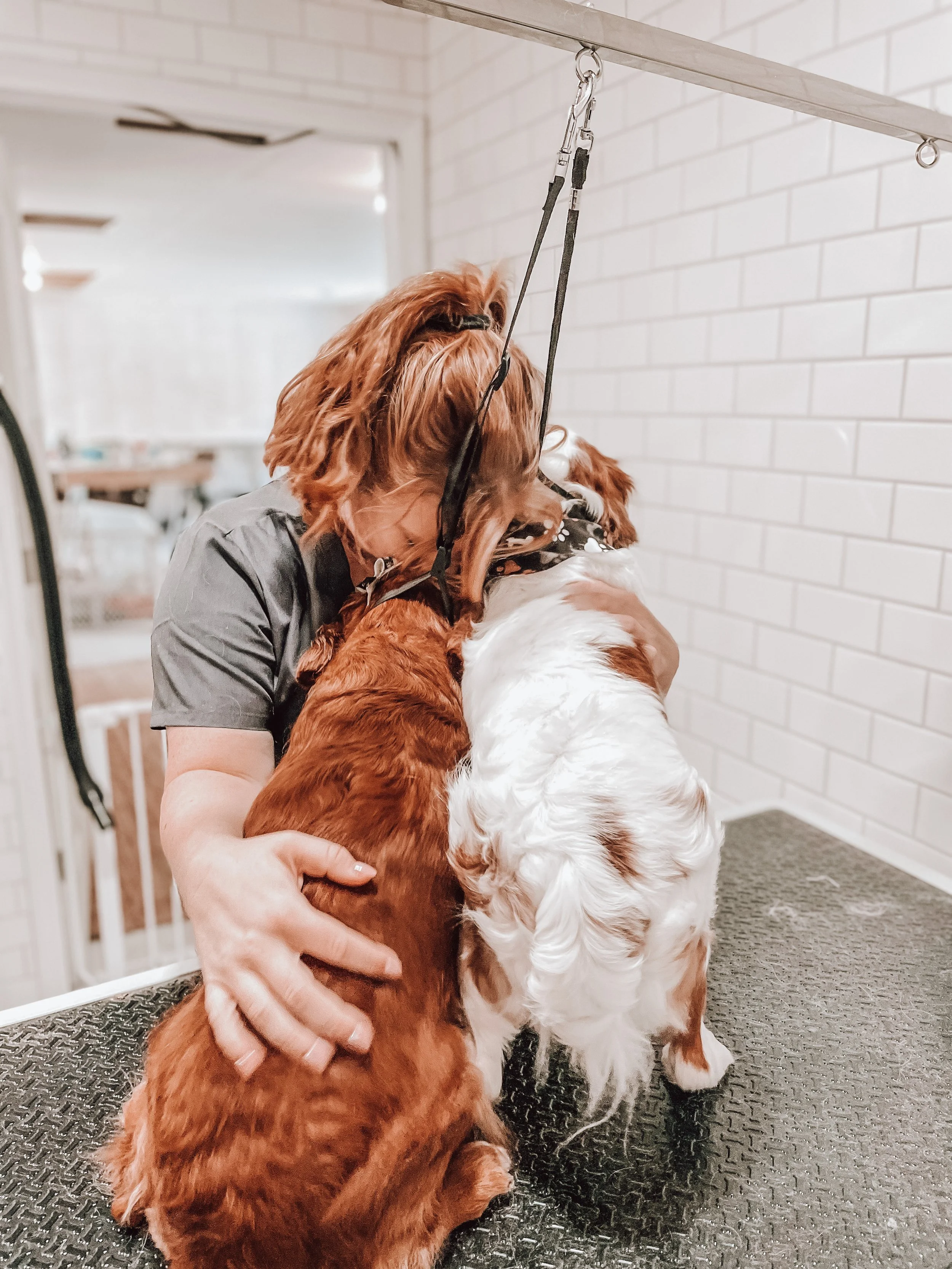 Our Team — Dog Gone Groomers