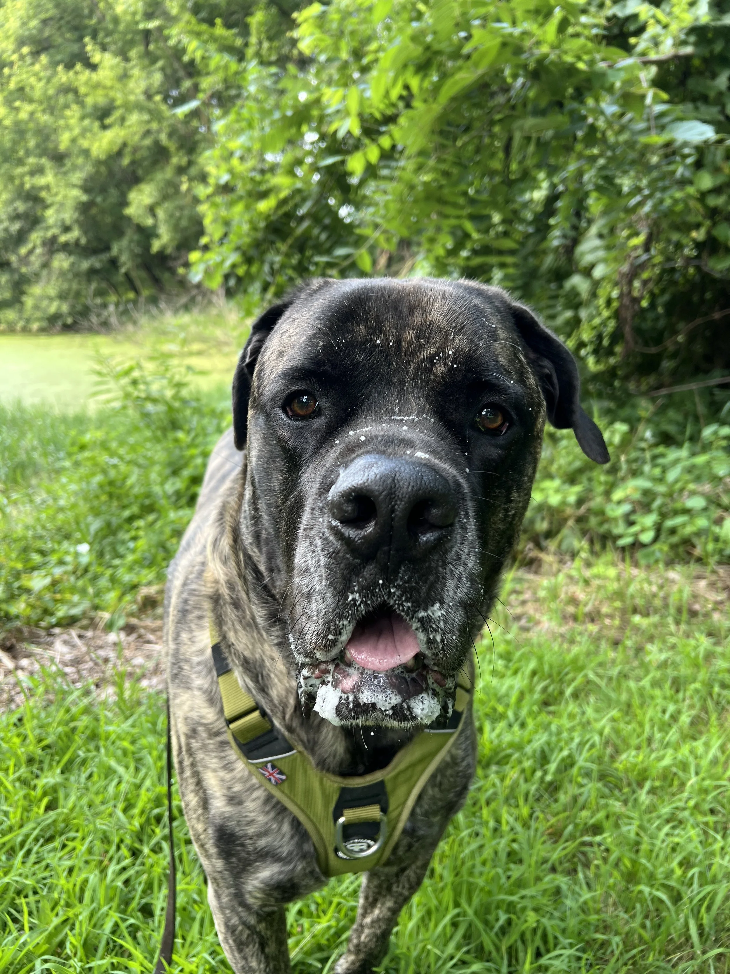 How to Teach the 1-2-3 Game