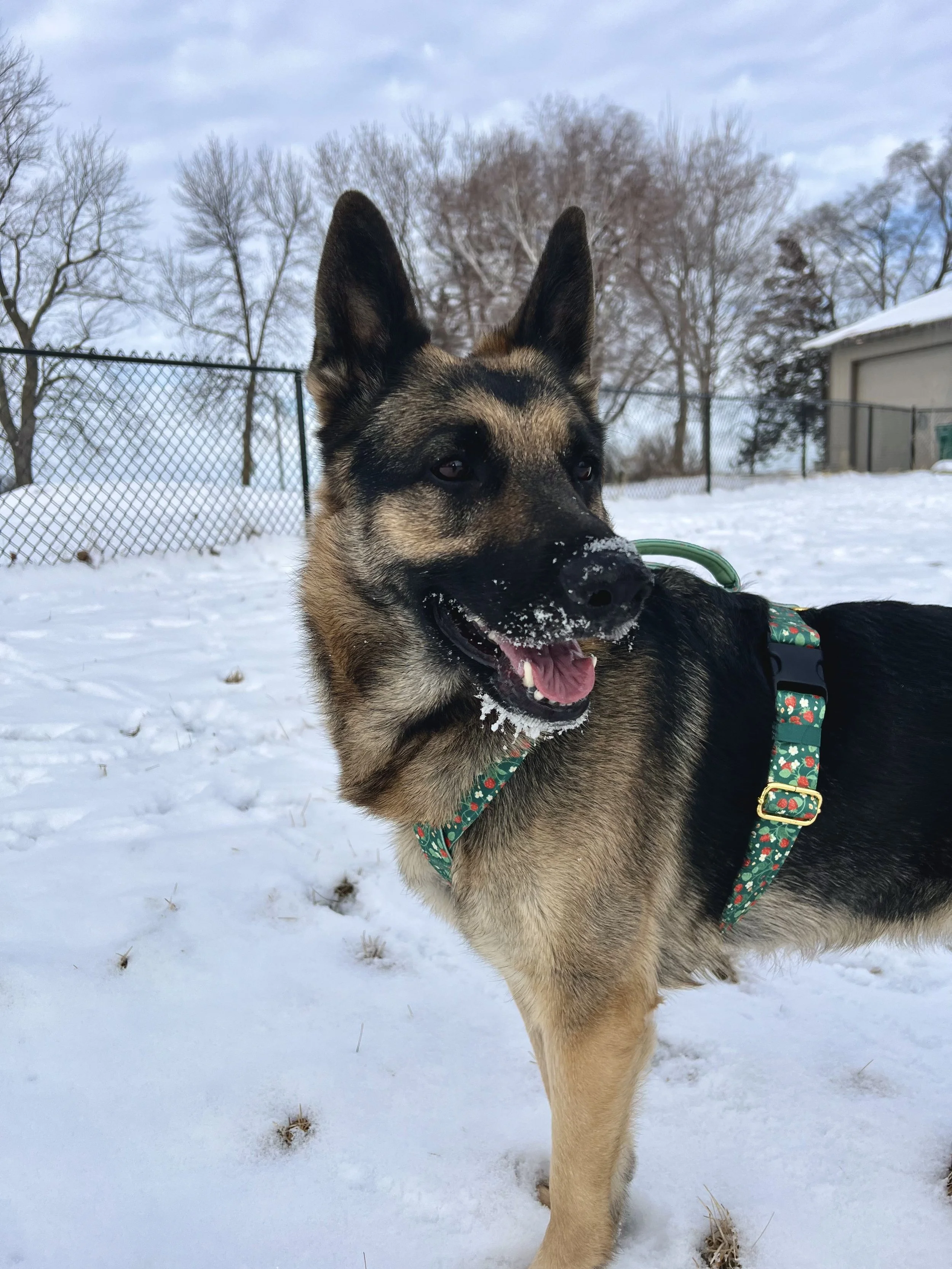 the Up-Down Pattern Game