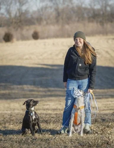 Muzzle Training: An Introduction