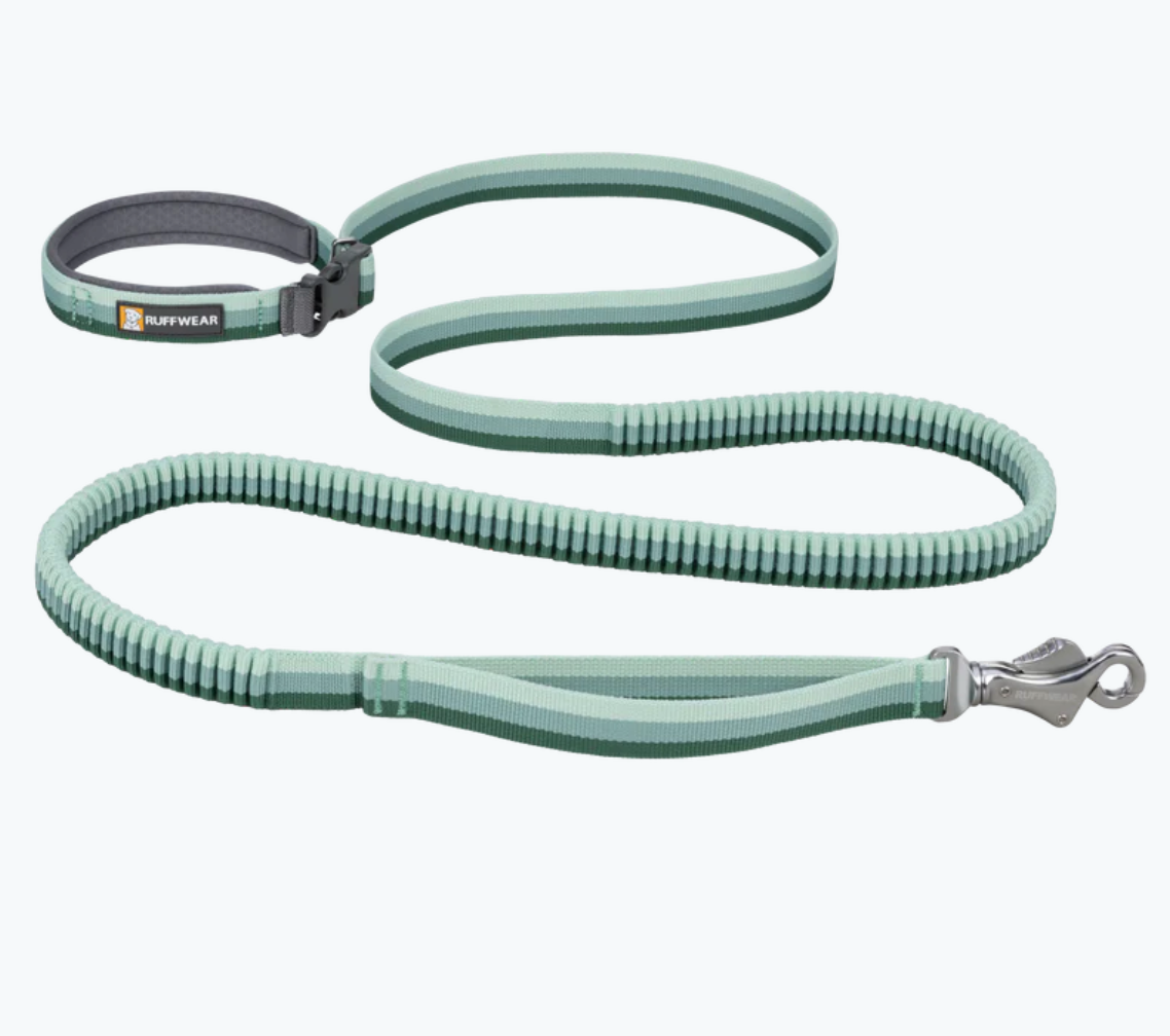 ROAMER BUNGEE LEASH from RUFFWEAR. Secure scissor-style clip, traffic handle, 3 colorways, hands-free capabilities, stretch webbing to lessen sudden impacts, and available in 5.5-7 or 7.3-11 feet long. $50-55