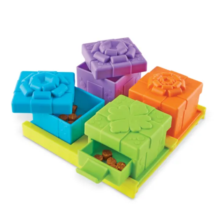Surprise Party - $22 - Brightkins