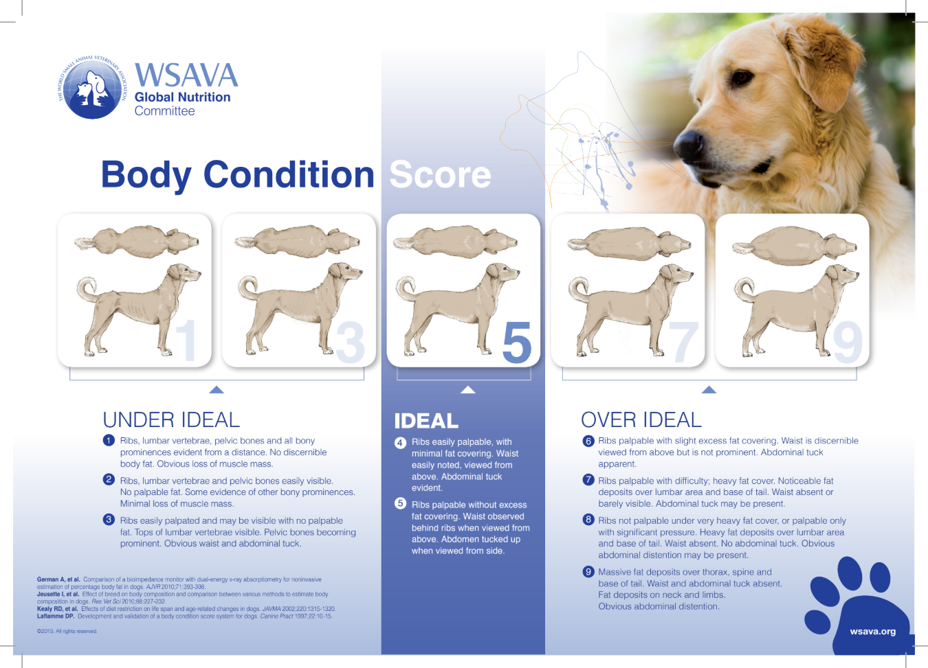 graphic showing WSAVA body condition scoring
