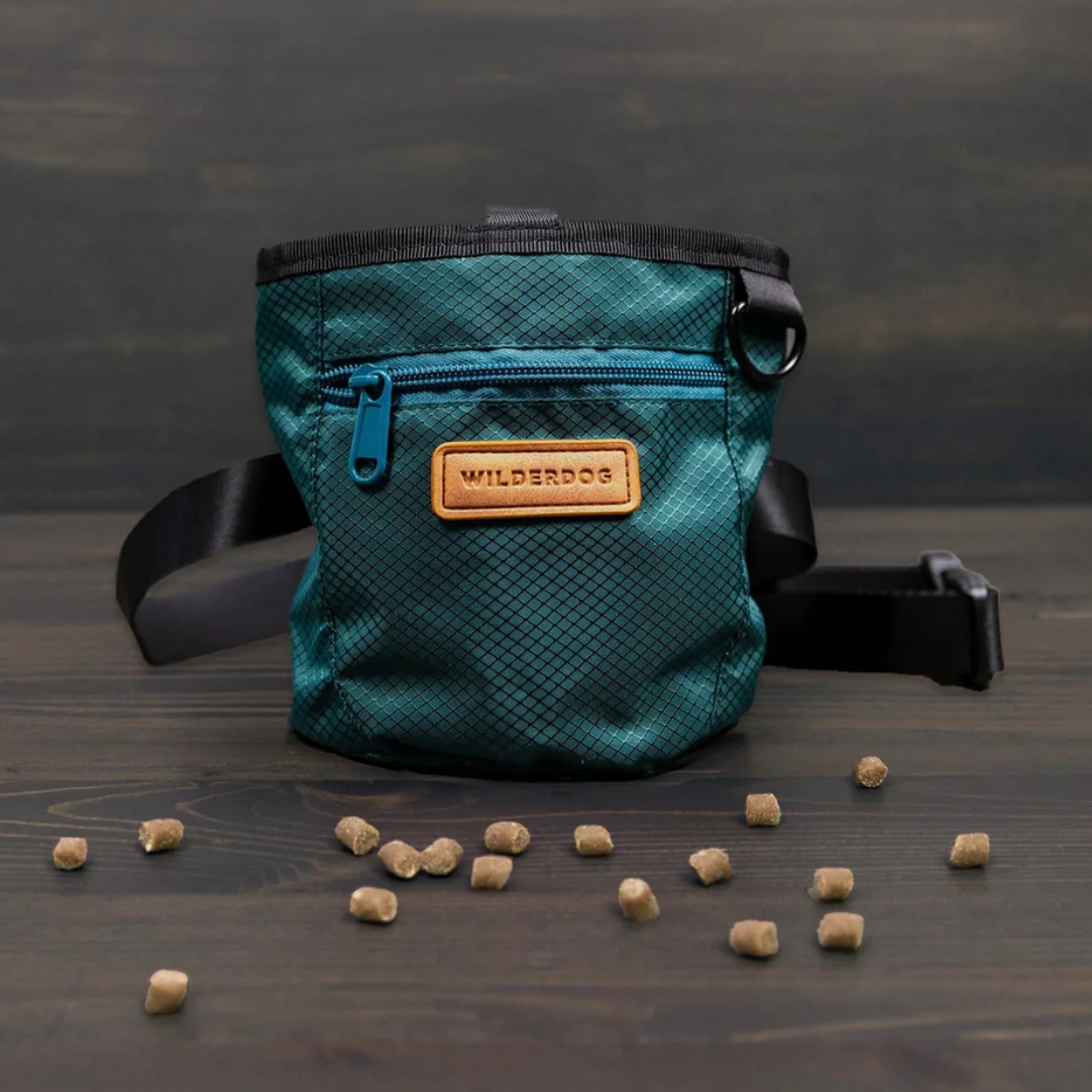 dog treat training pouch