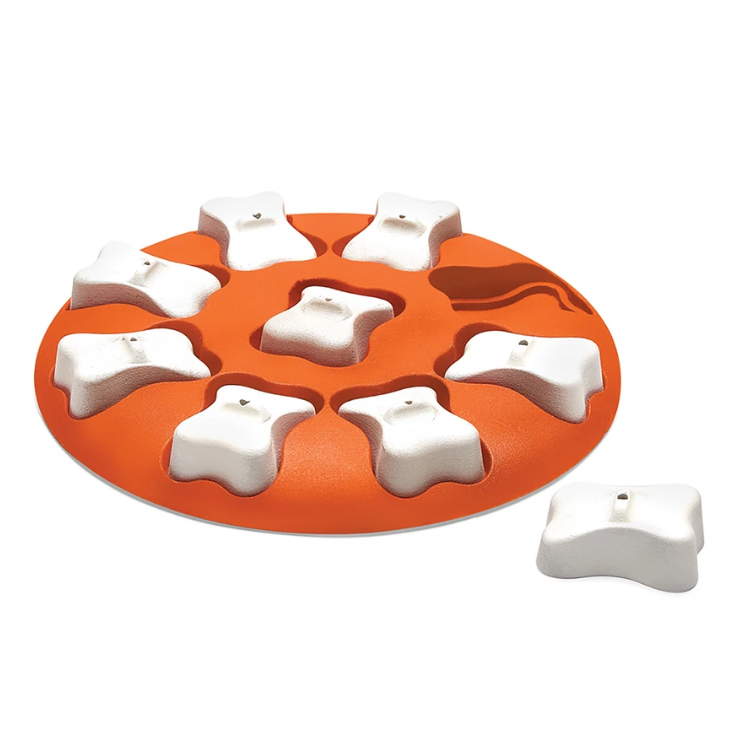 Dog Smart - $17 - Outward Hound