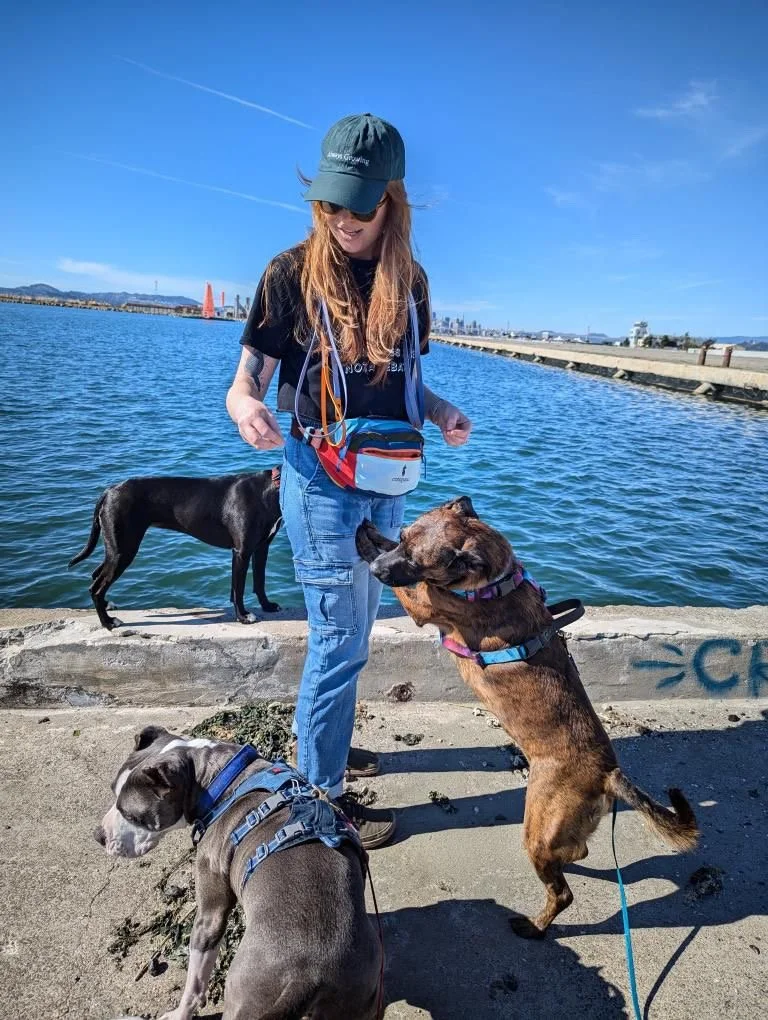 Lily stands in front of the ocean wearing a treat bag surrounded by three dogs. They have treats in each hand and one dog stands against Lily's leg.