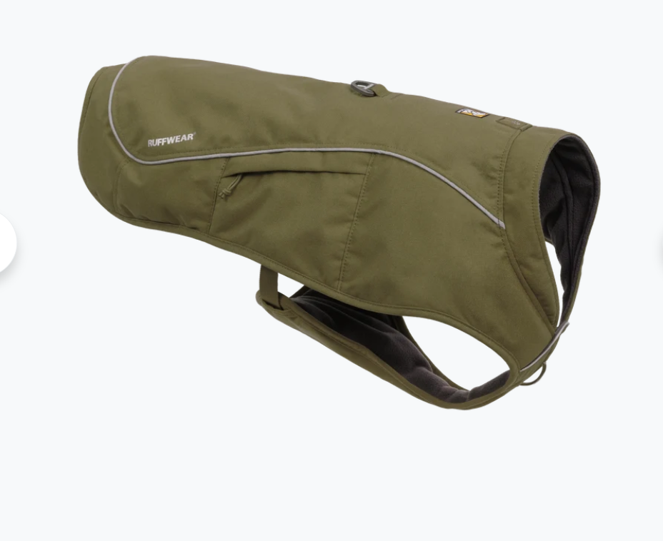 green dog coat