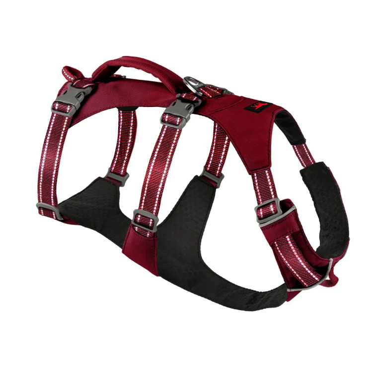 TRAILBLAZE WATERPROOF HARNESS from TUFF PUPPER. 2 adjustable girth straps, adjustable neck strap, front & 2 back leash attachment points, reflective trim & stitching, a handle, & 3 color options. Fits girths 13-42 inches. Excellent choice for flight 