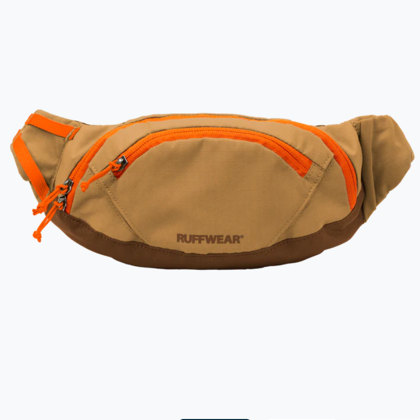fanny style training treat bag