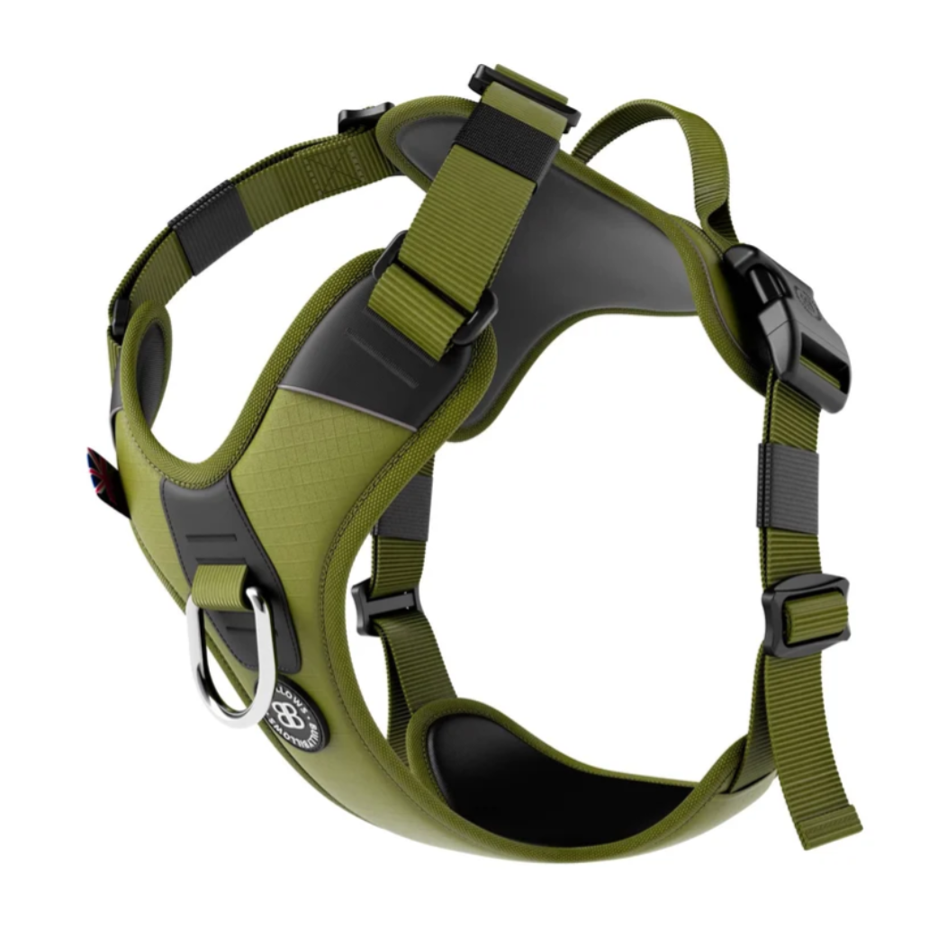 dog harness