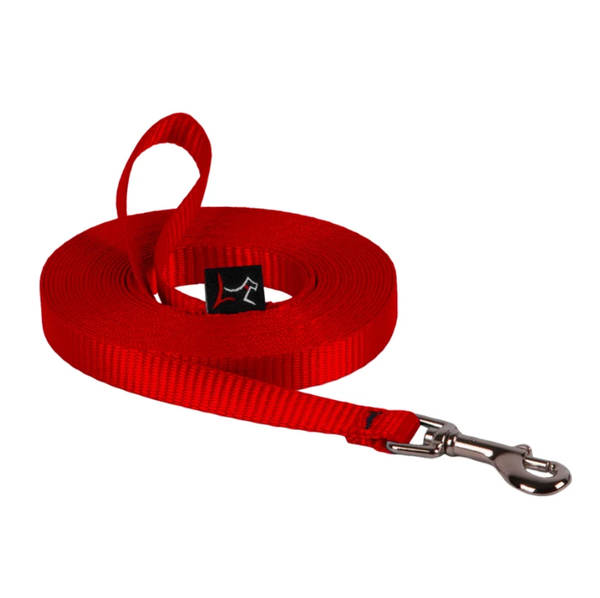 long red nylon leash