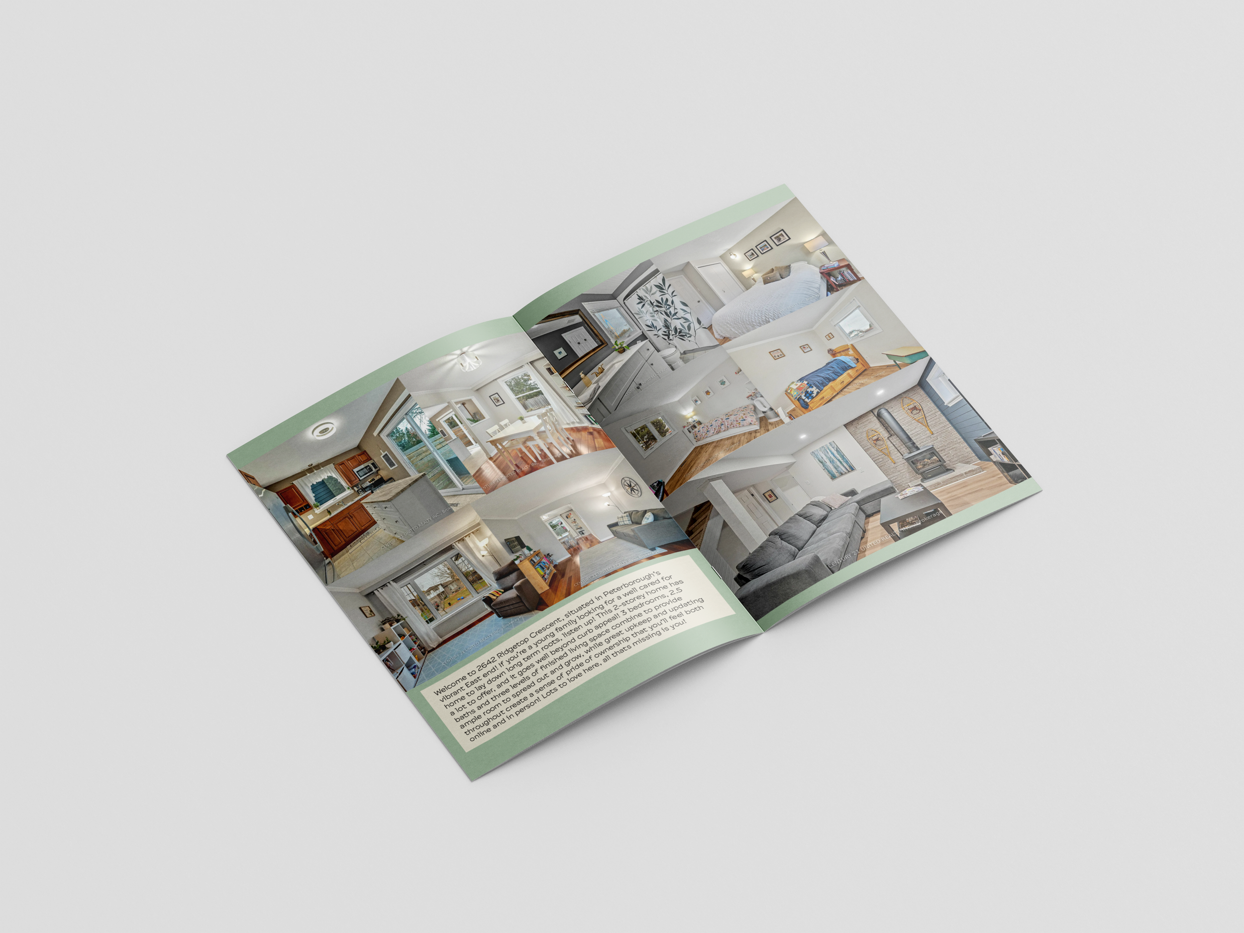 Cedar and Stone Real Estate Inner Spread.png