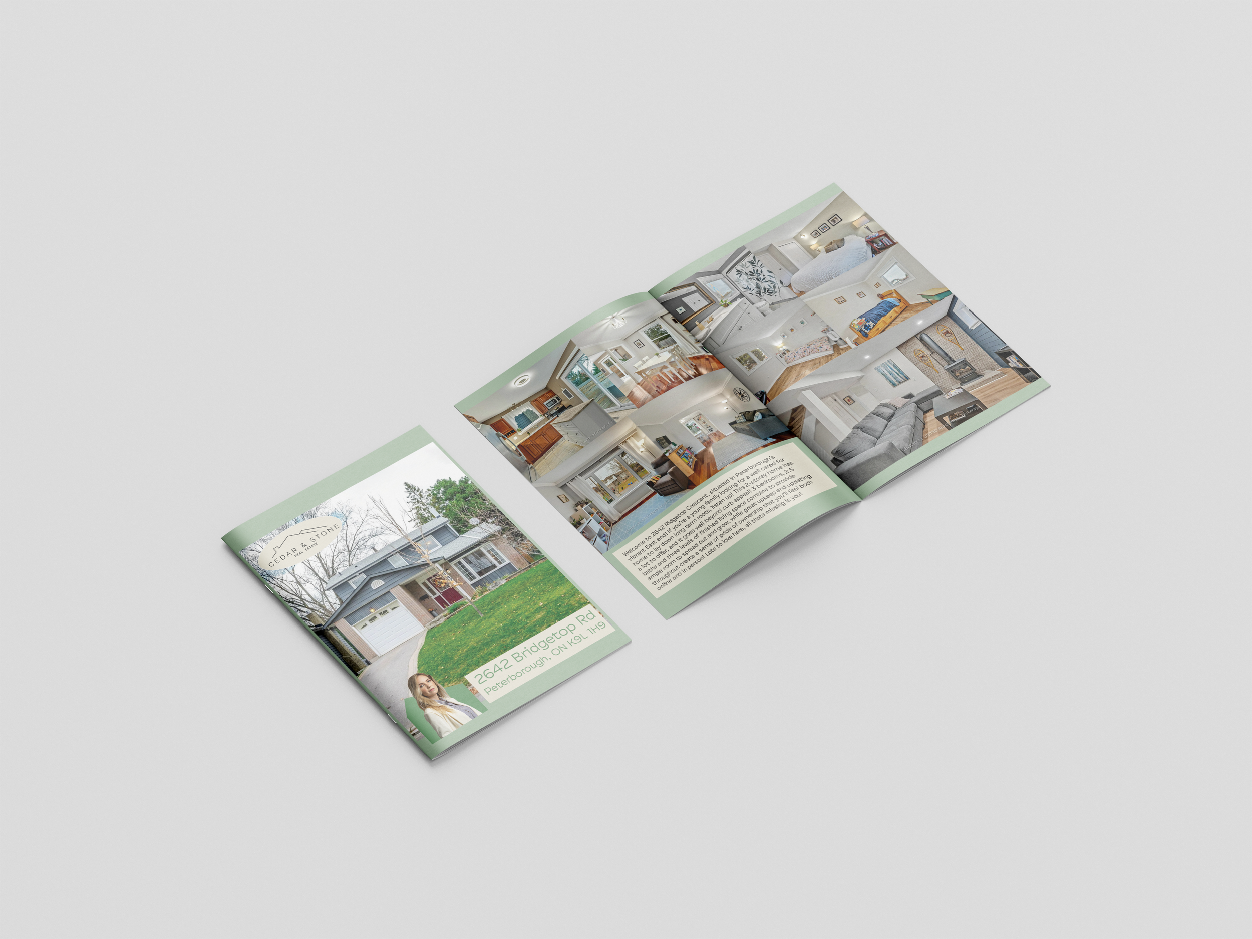 Cedar and Stone Real Estate Cover and Spread.png