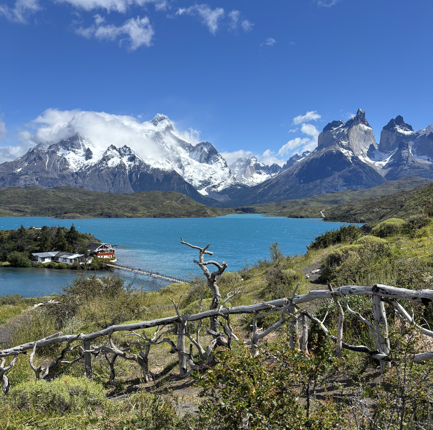 Screenshot 2026-01-29 at 10.23.14 AM.png