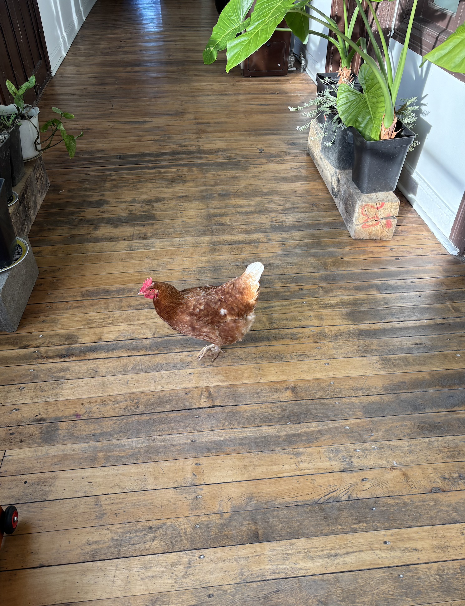 Screenshot 2026-01-27 at 2.22.45 PM.png