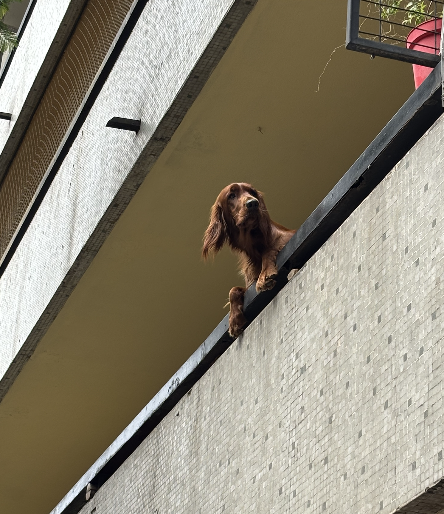 Screenshot 2026-01-29 at 11.47.21 AM.png