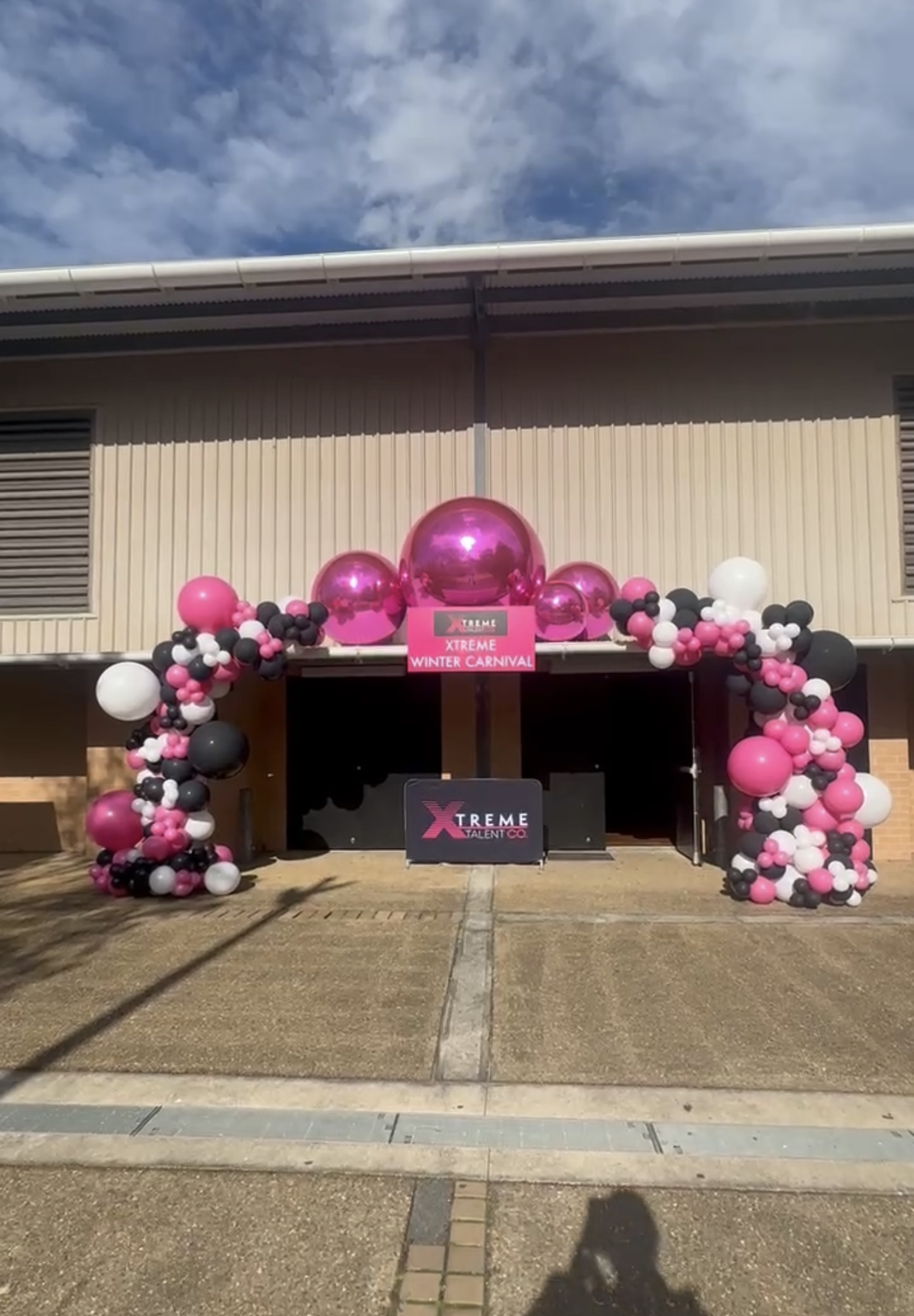 pink shiny ball in arch.png