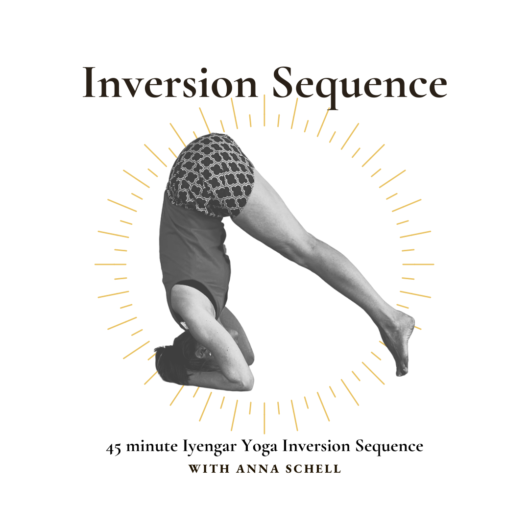 Iyengar Yoga Inversion Sequence — Blue Mountains Iyengar Yoga Studio