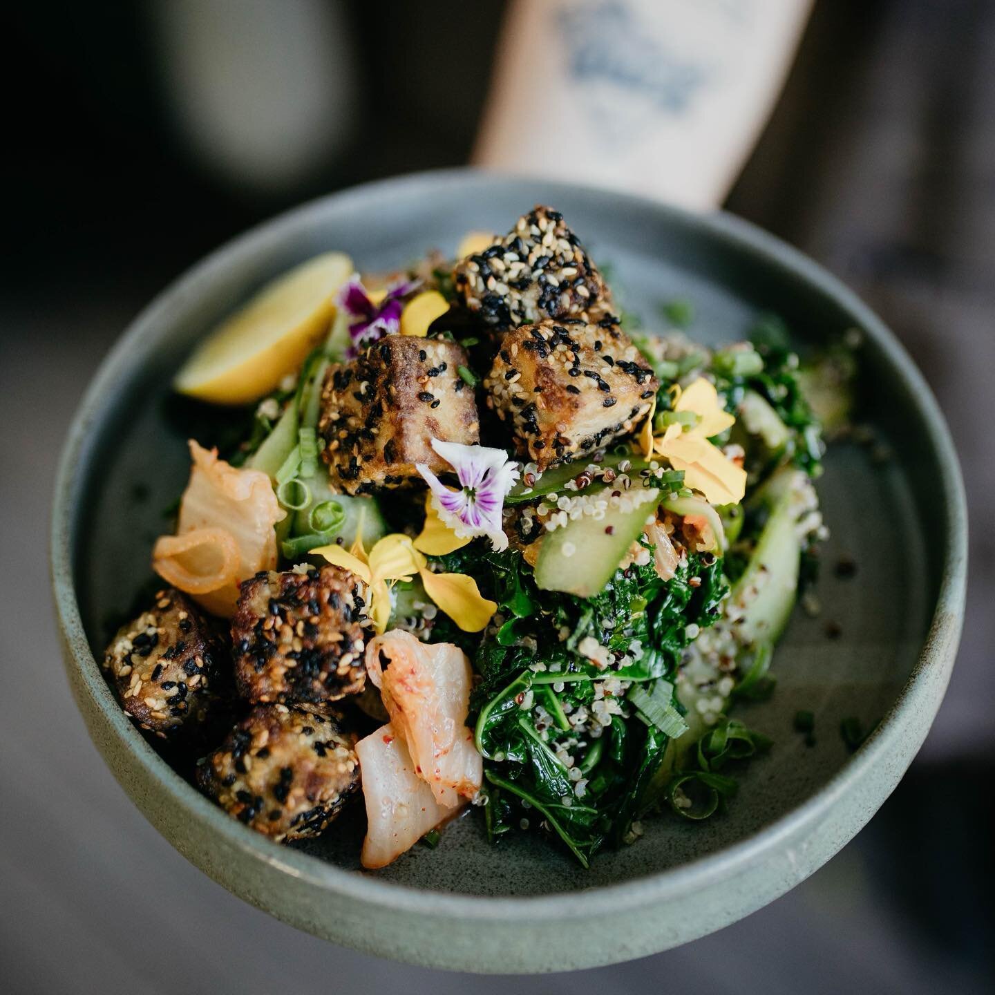 Good gut health with @southcoastkimchico this dish is nutrient rich, tasty, filling and an epic breakfast alternative. Introducing our Kimchi tofu bowl | sesame crusted tofu + south coast kimchi + wilted garlic greens + quinoa + cucumber + shallot (V