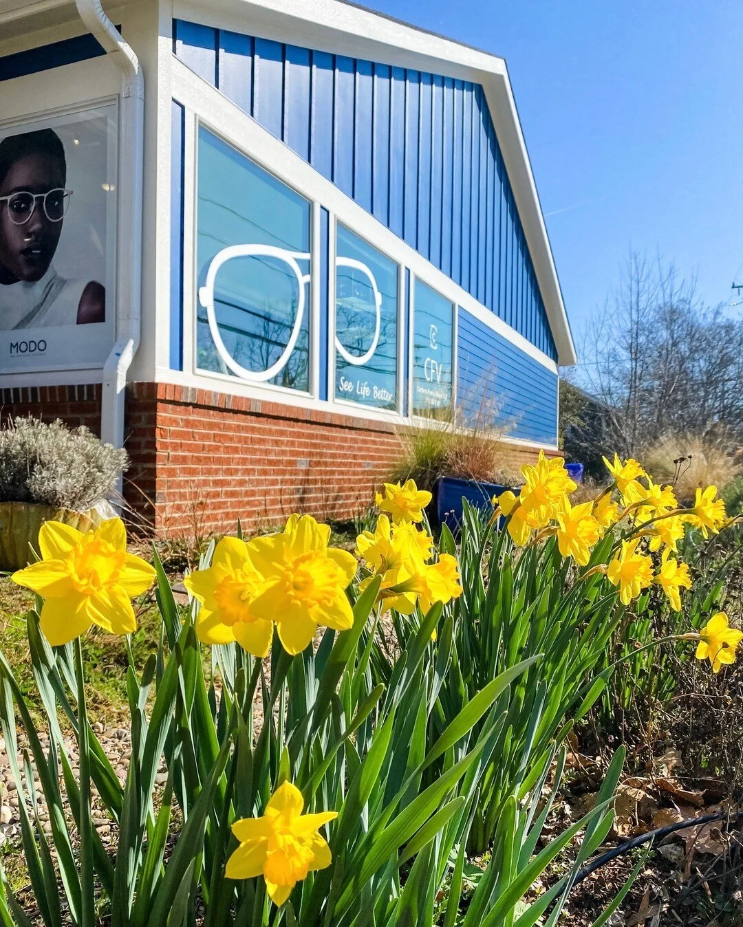 Carrboro Family Vision