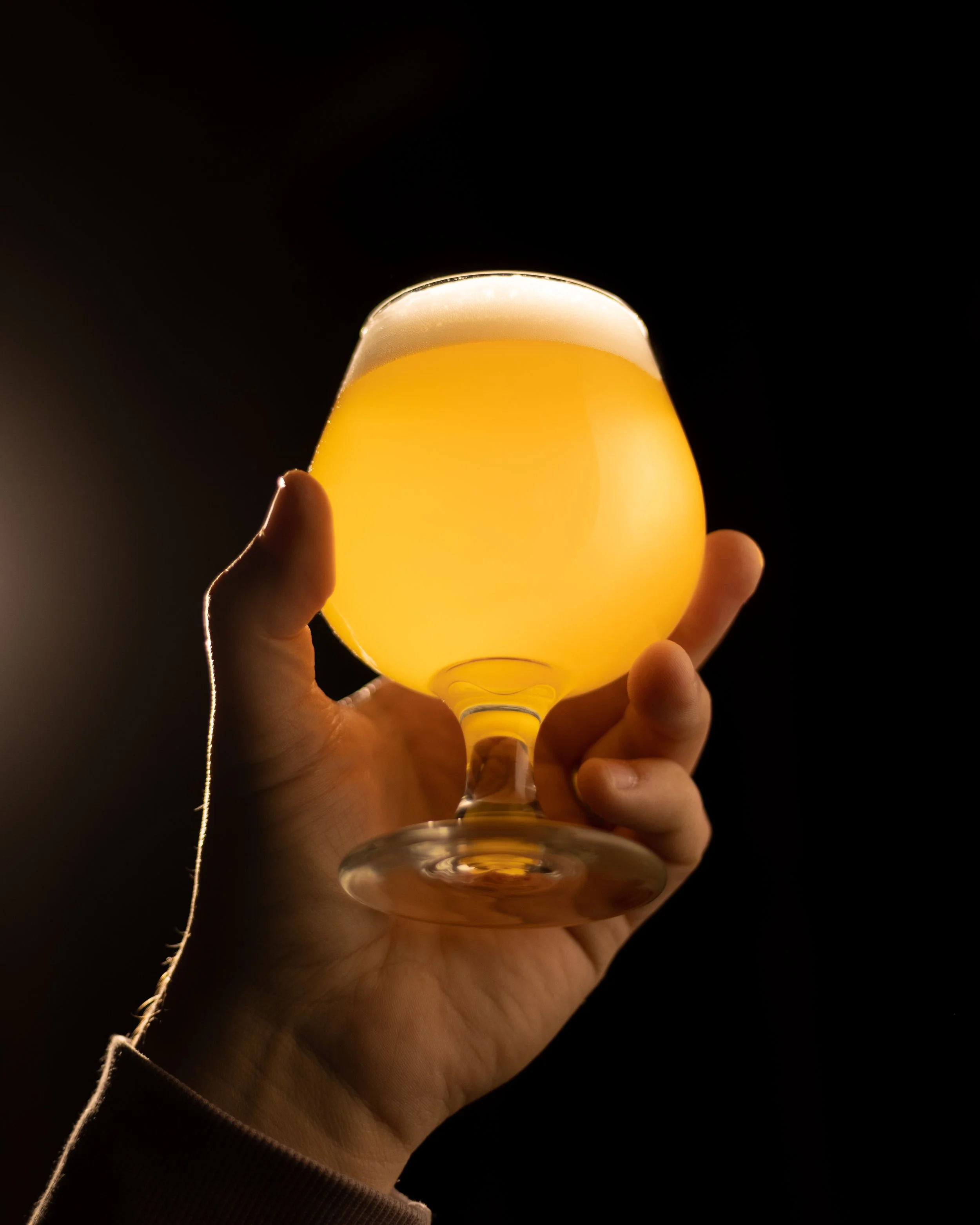Hand holding a glass of beer with a frothy head against a dark background.