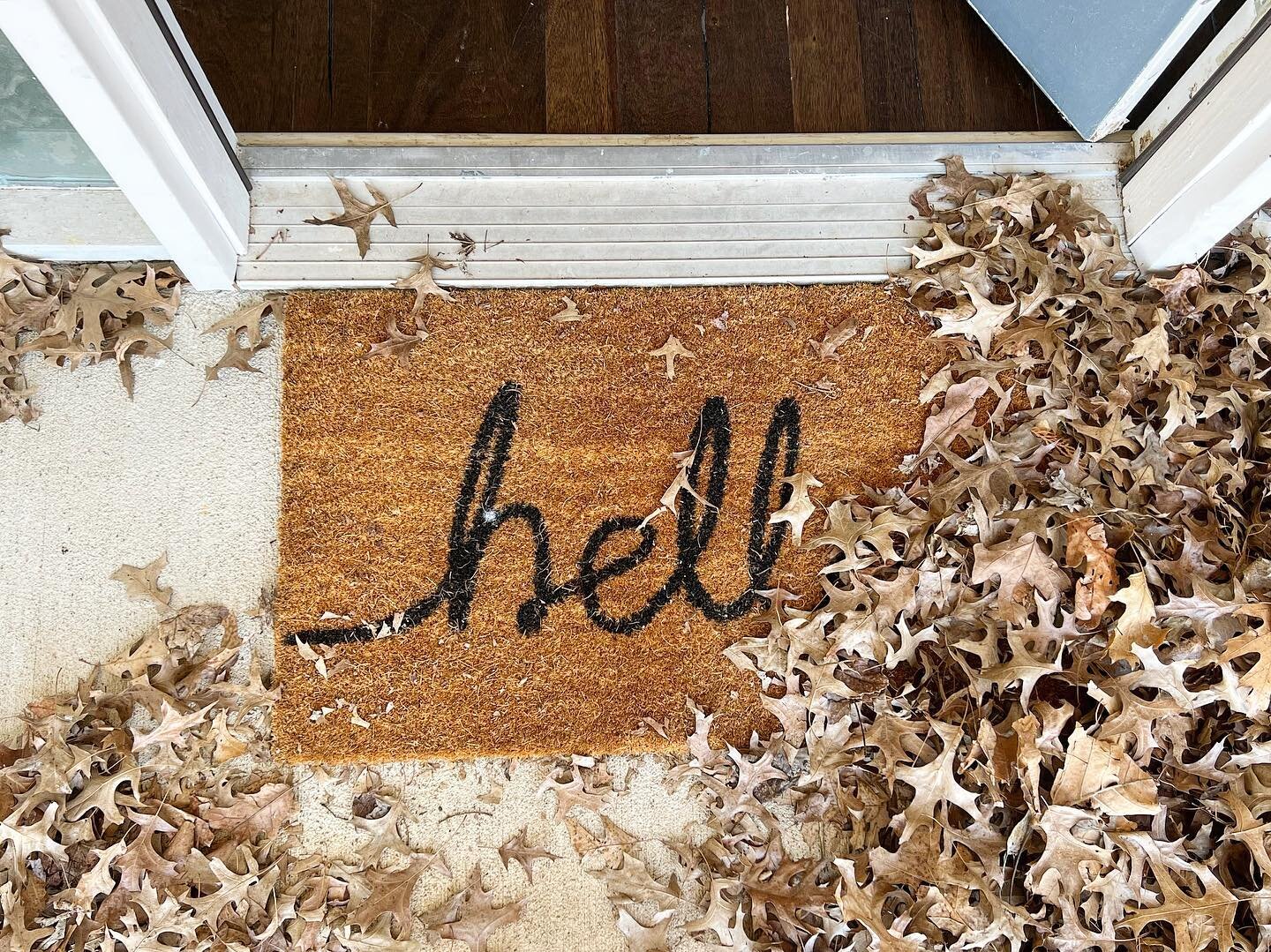When Mom jokingly calls you demon dogs and the &ldquo;Hello&rdquo; doormat is suddenly covered in leaves to form an new sentiment.. 😈🍂

#doglife #arkansasliving #giantschnauzersofamerica #giantlife #giantschnauzerproblems #crazydogs #dogsofinstagra