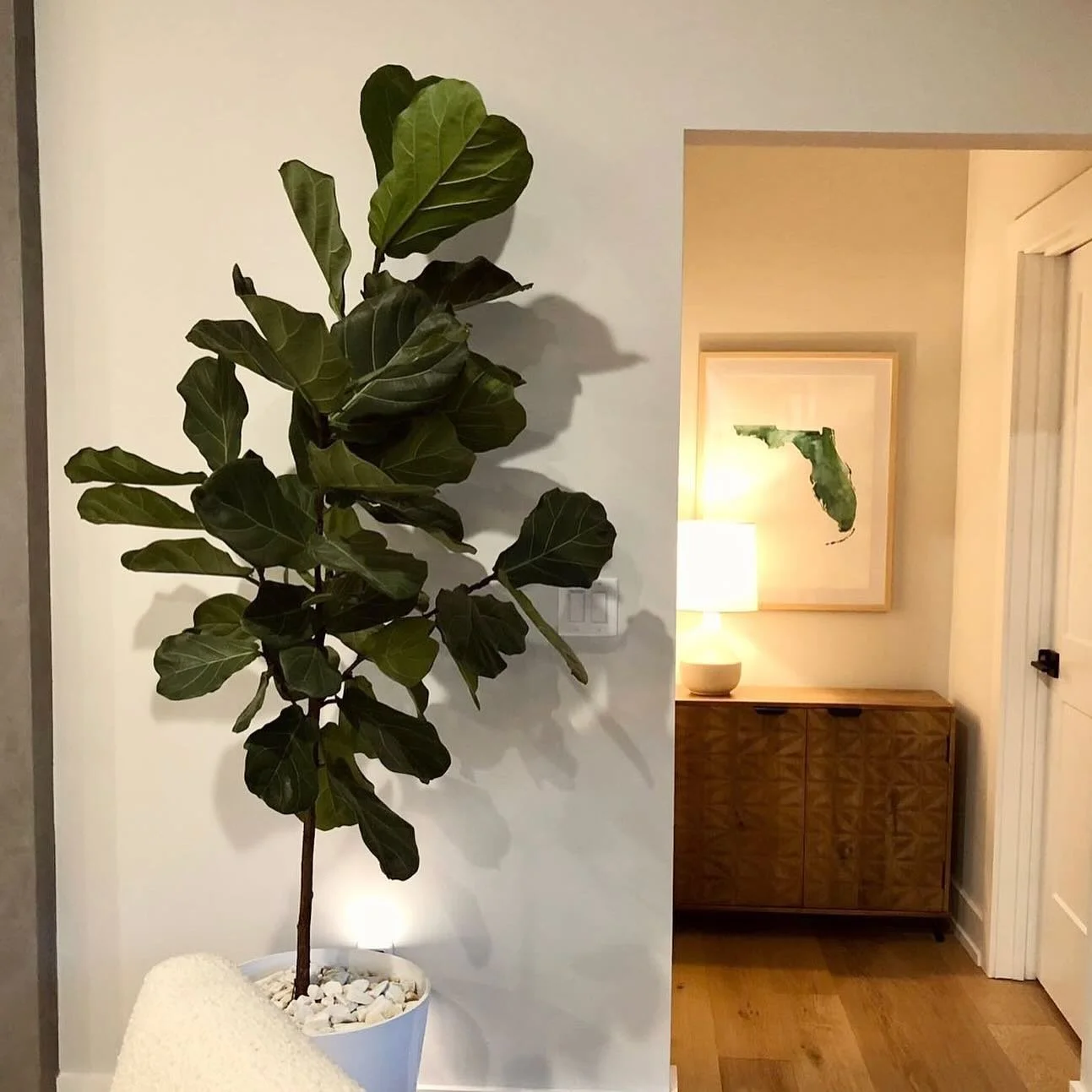 The perfect place for this 22x30in original Florida! My largest original painting yet! 💚