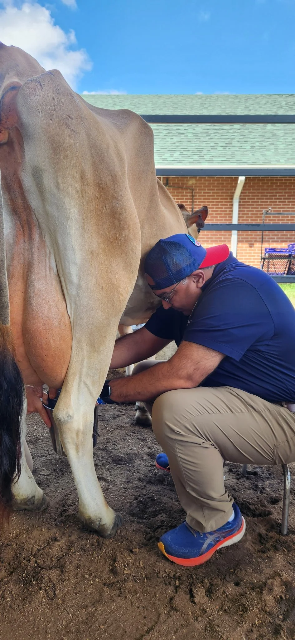 Missouri State Treasurer Vivek Malek takes the cow milking contest seriously.