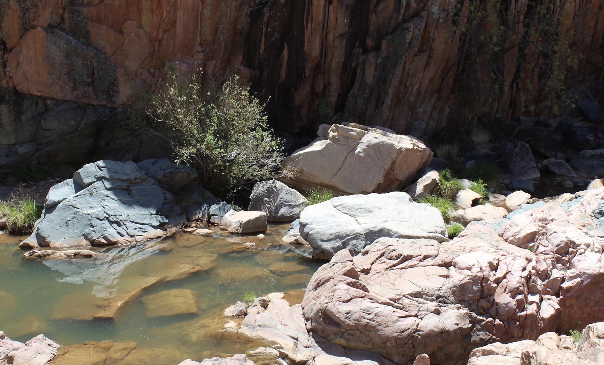 A rocky desert landscape with a small water pool, large boulders, and a sparse bush against a backdrop of reddish-brown canyon walls.