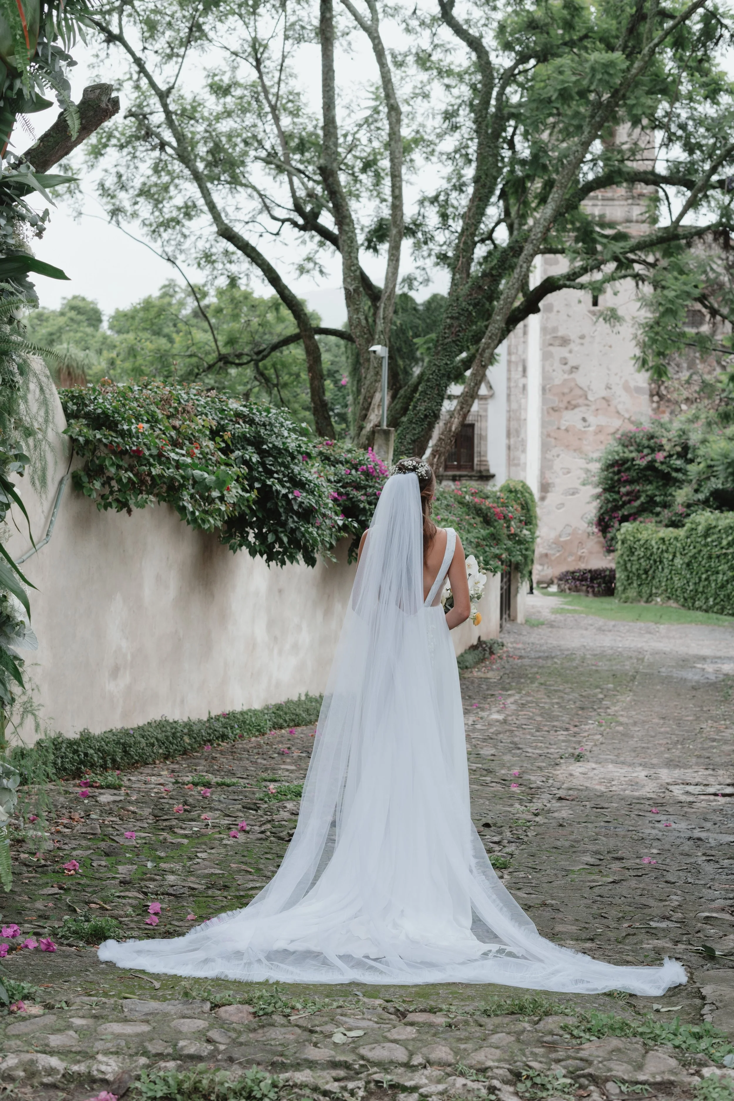 Una novia con vestido blanco y velo camina por un camino de piedra con vegetación y flores alrededor, en un entorno al aire libre.