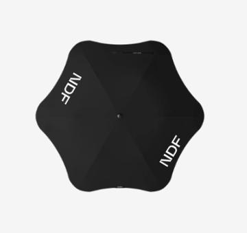 umbrella 1.png