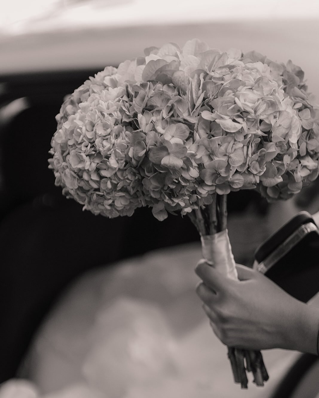Just flowers this time

#MajoMu&ntilde;ozPhoto  #SoulfulPhoto #MajoMunozWeddings