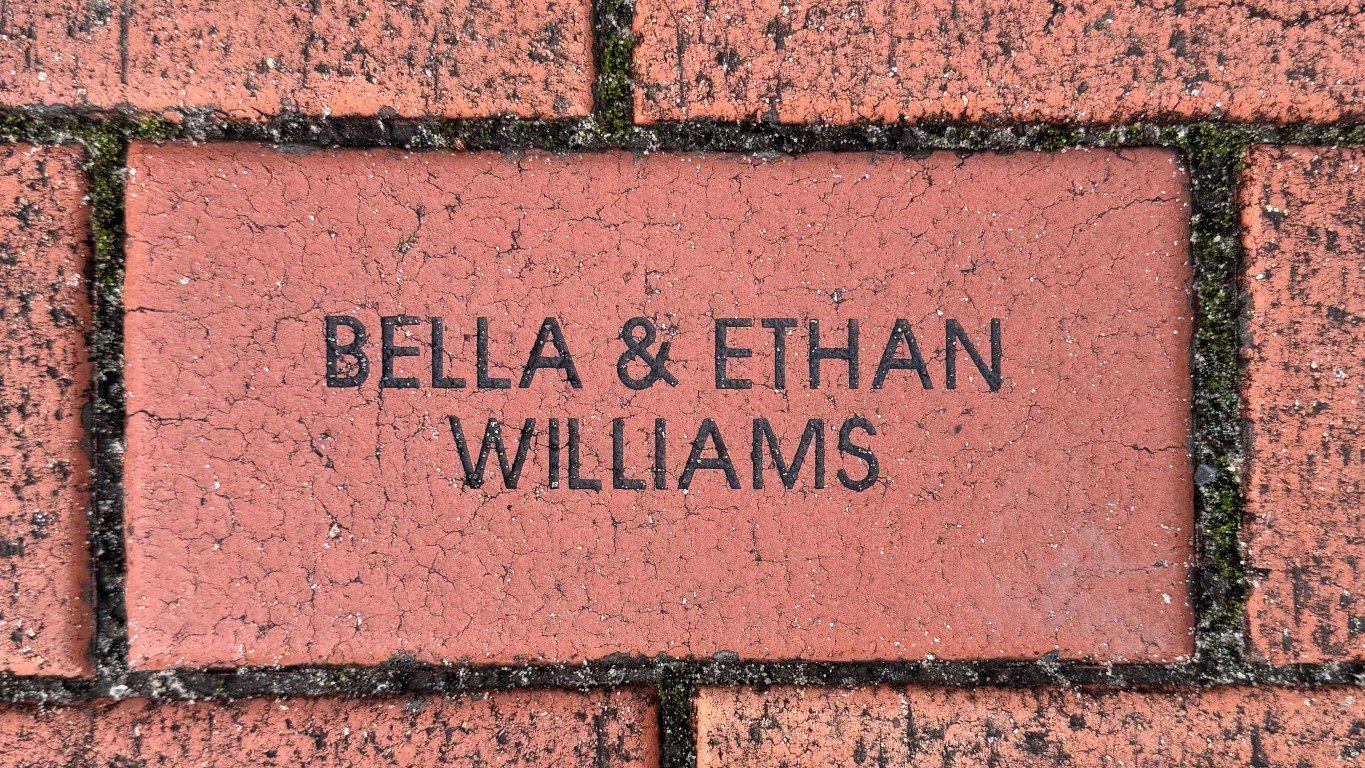 Buy A Brick 2026 (6) (Medium).jpg