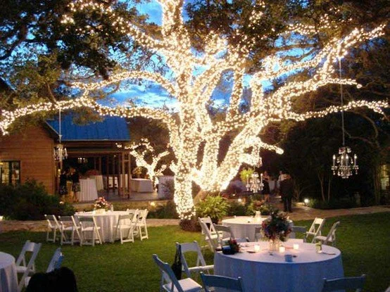 wedding-tree-wrap.jpg