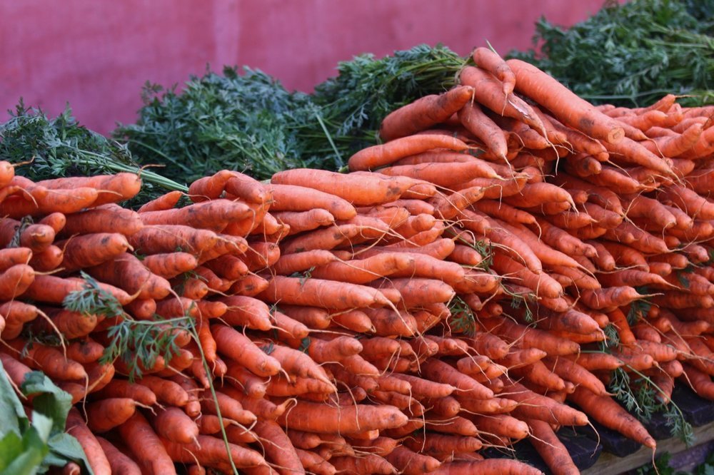Plastic free July - what does it really teach us?
