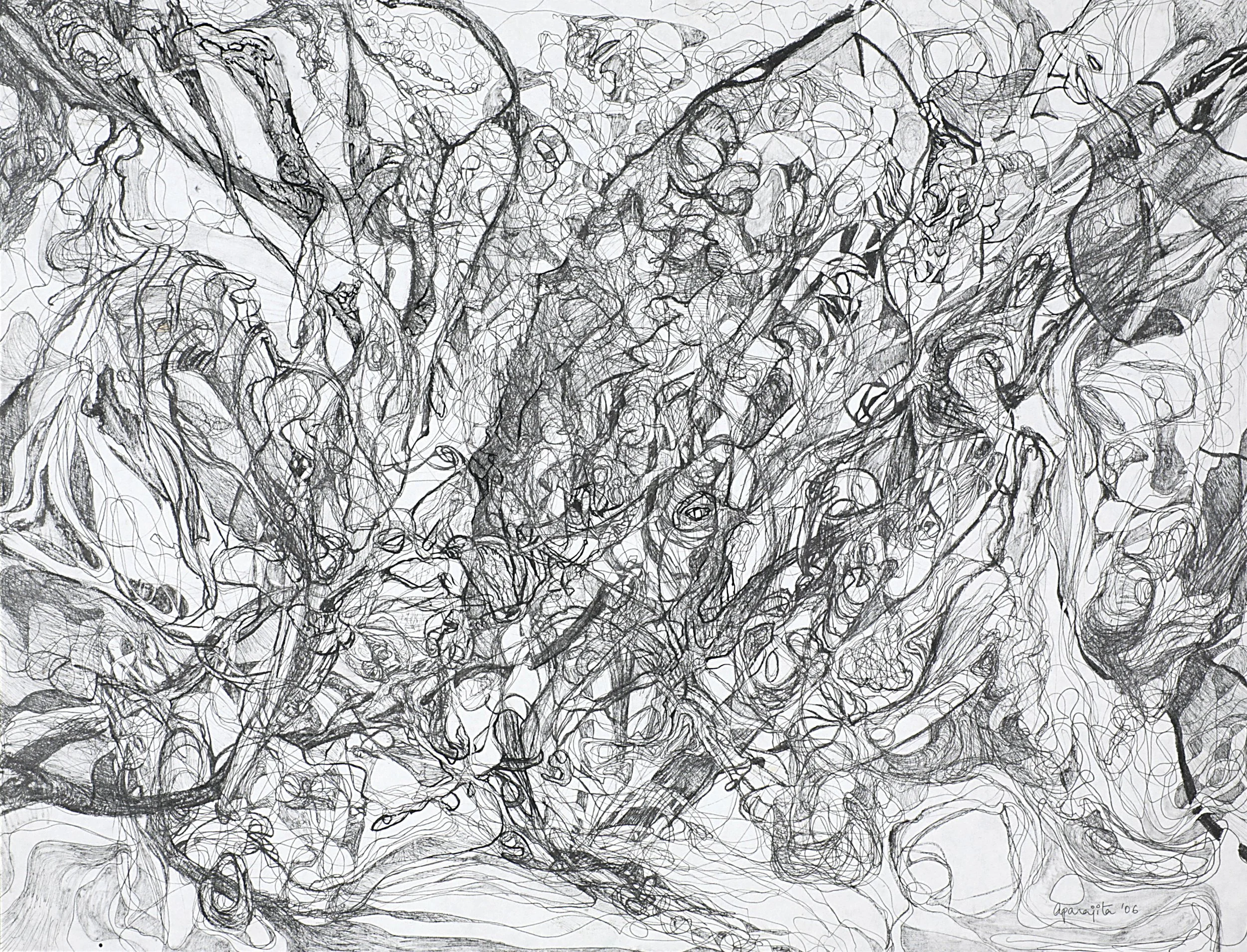 Entangled, pen & ink, 24 * 18, 2006
