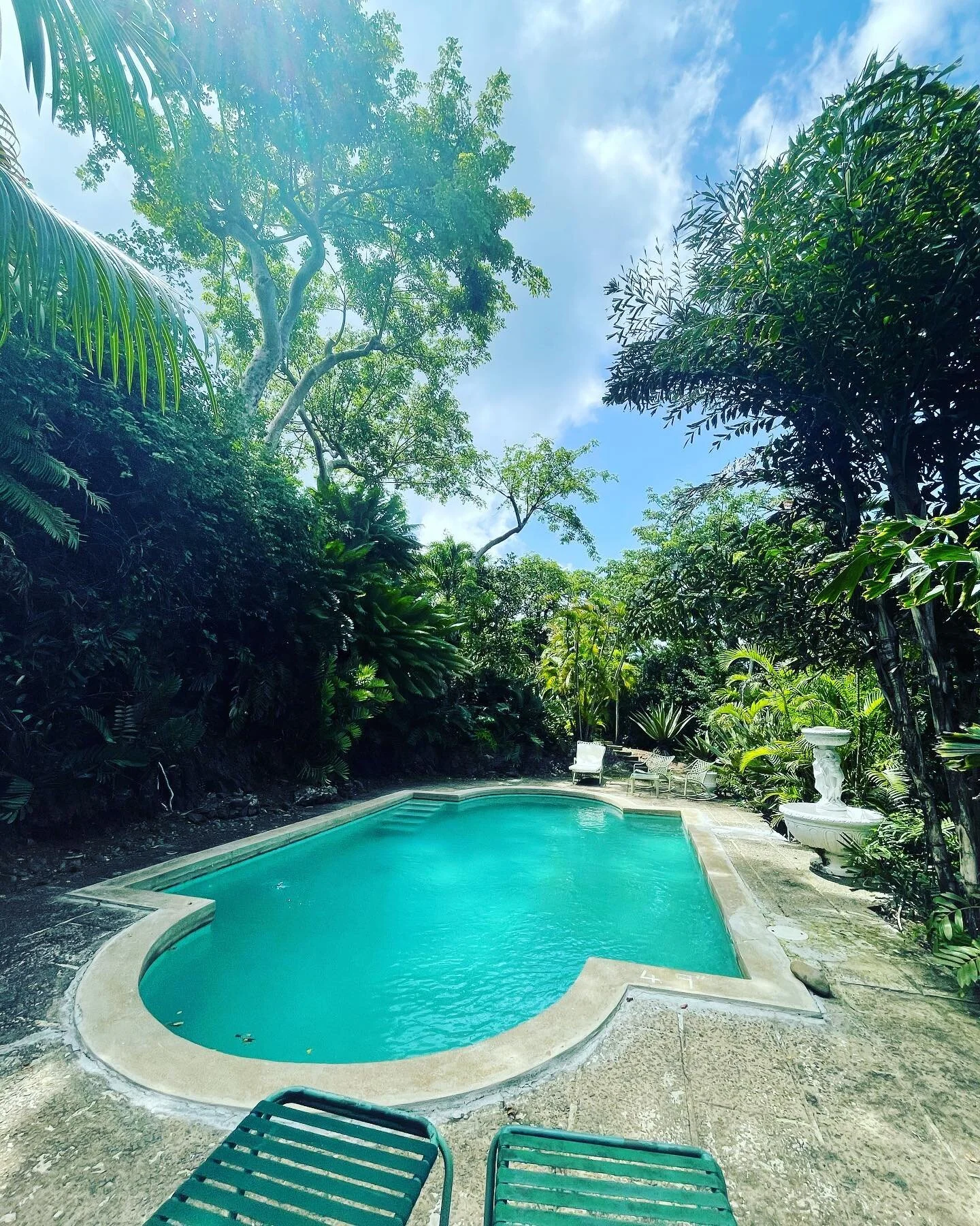 Jungle inspired pool 🌳 🌺