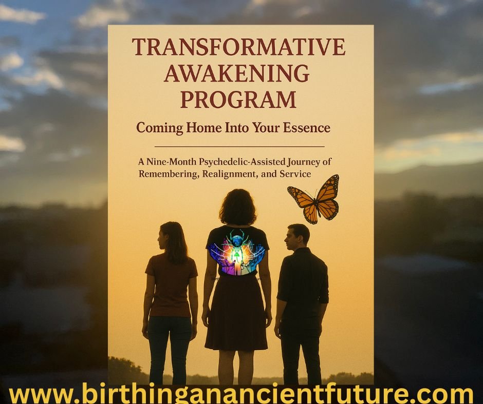 TRANSFORMATIVE AWAKENING PROGRAM